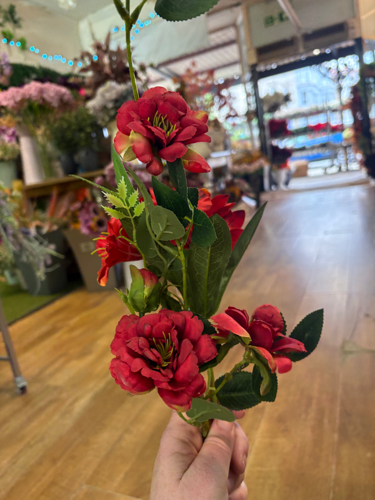 Long stem red and white clearance bundle