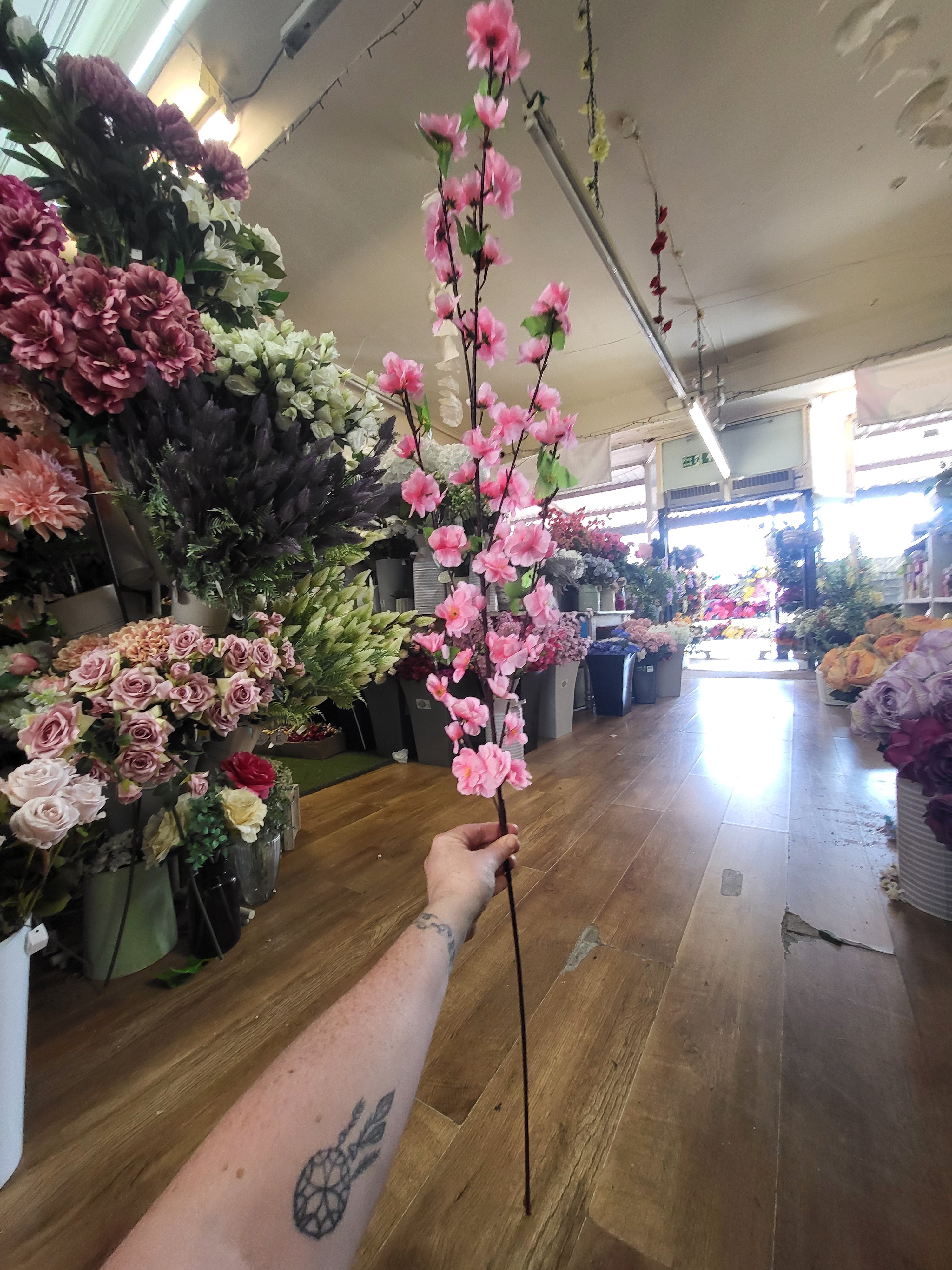 Extra tall pink blossom stem image 3