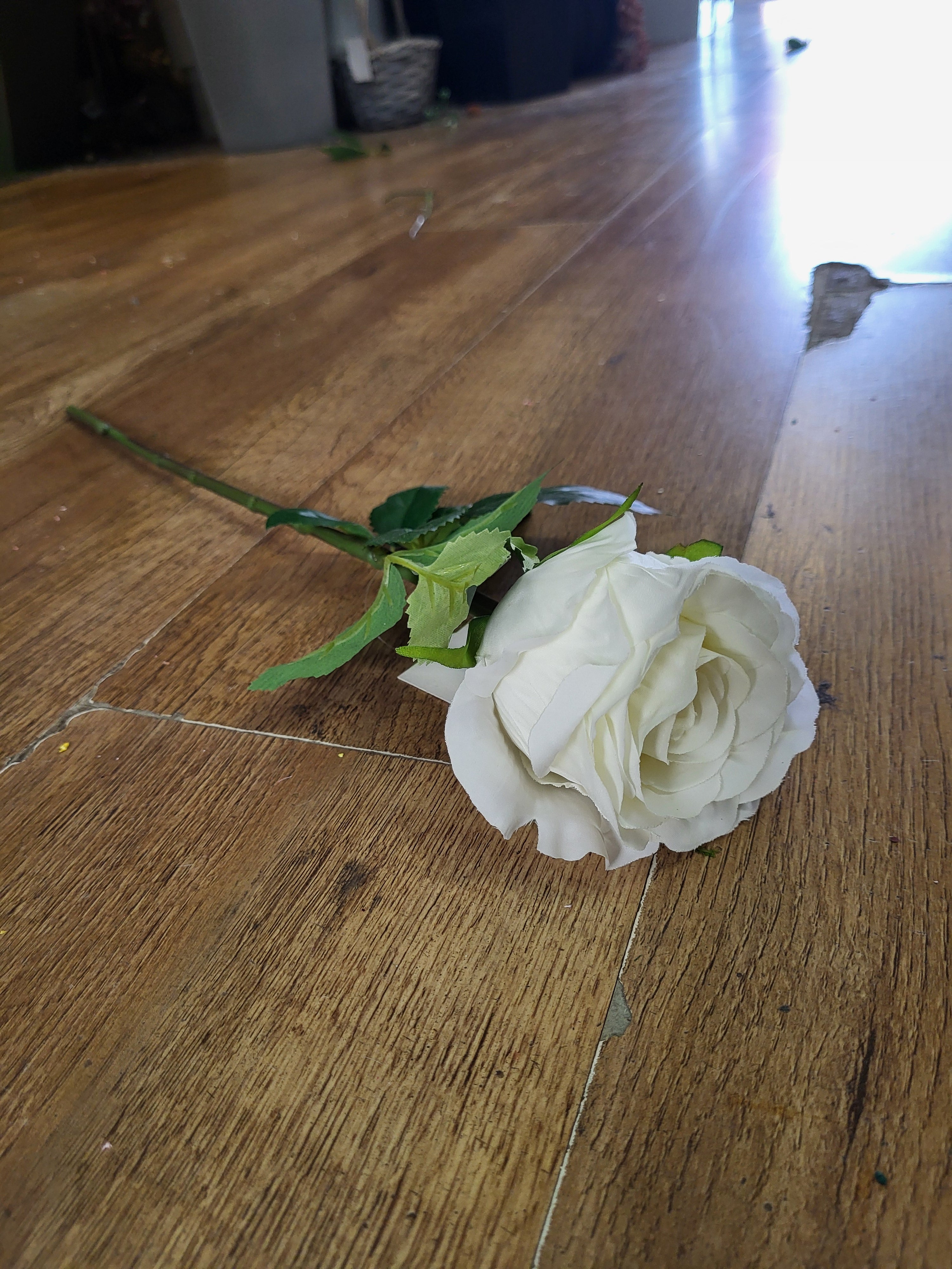 Ivory Lila Rose  image 0