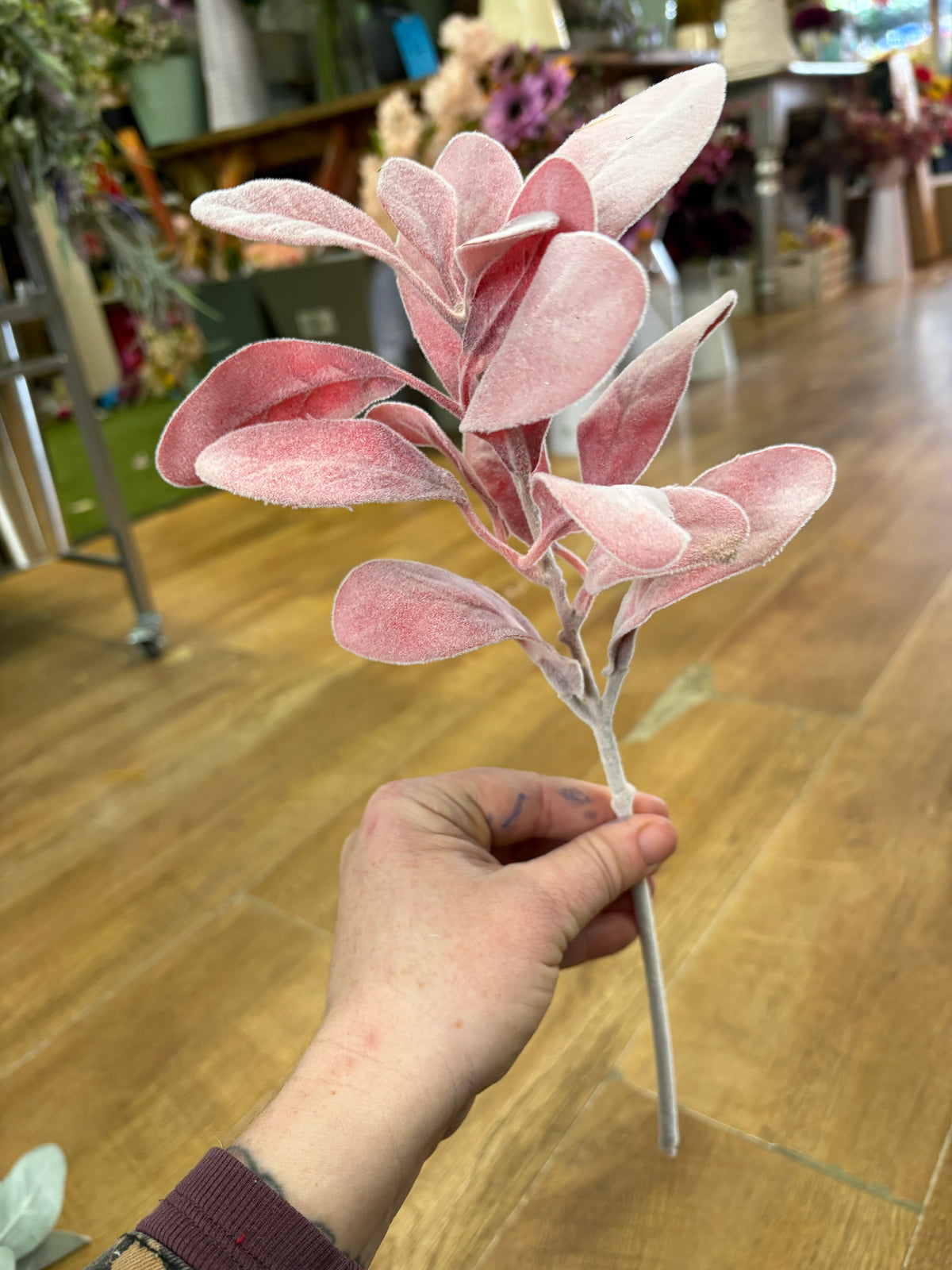 Rouge lambs ear pick