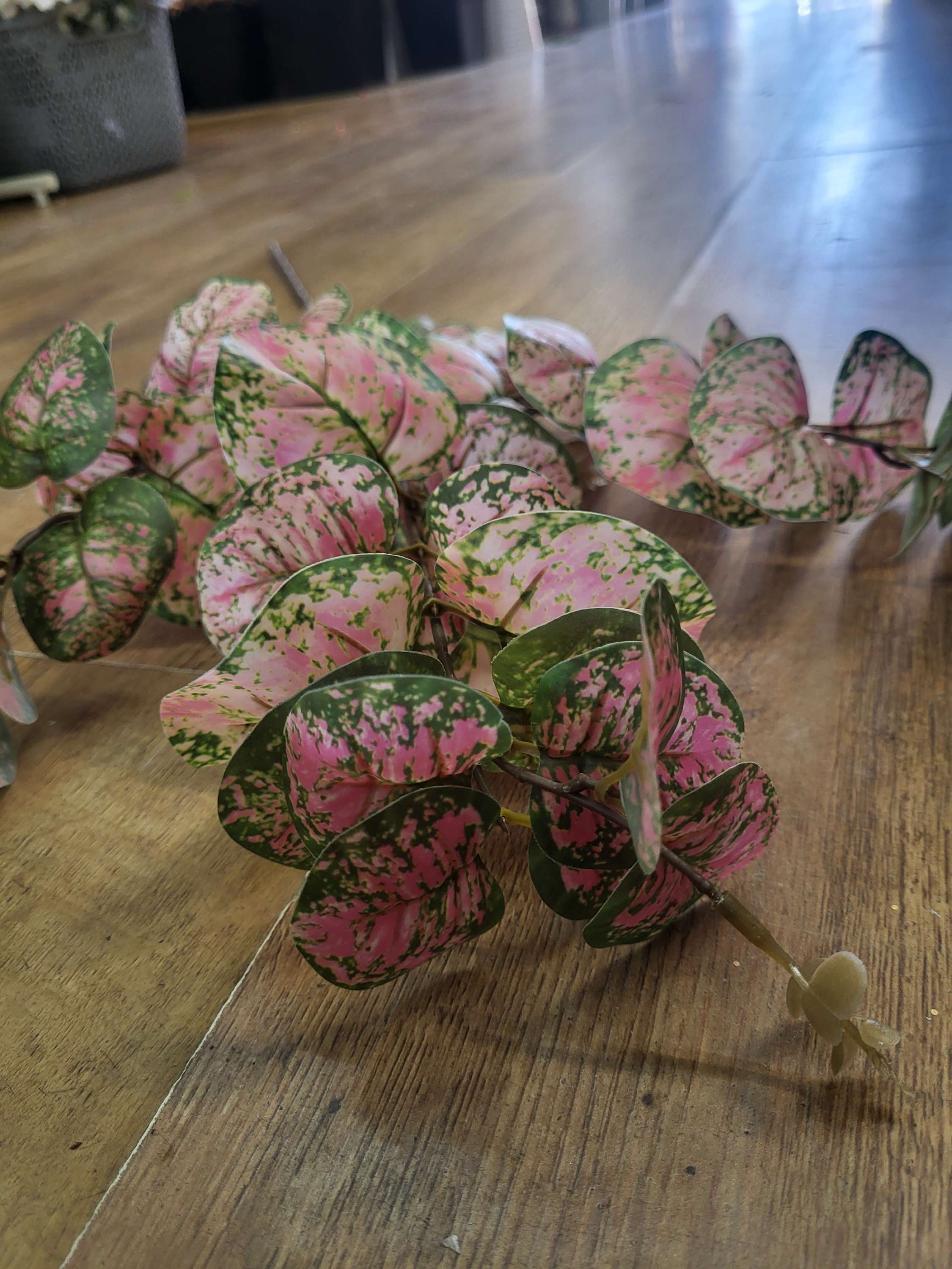 Long stem pink and green rounded eucalyptus spray image 2