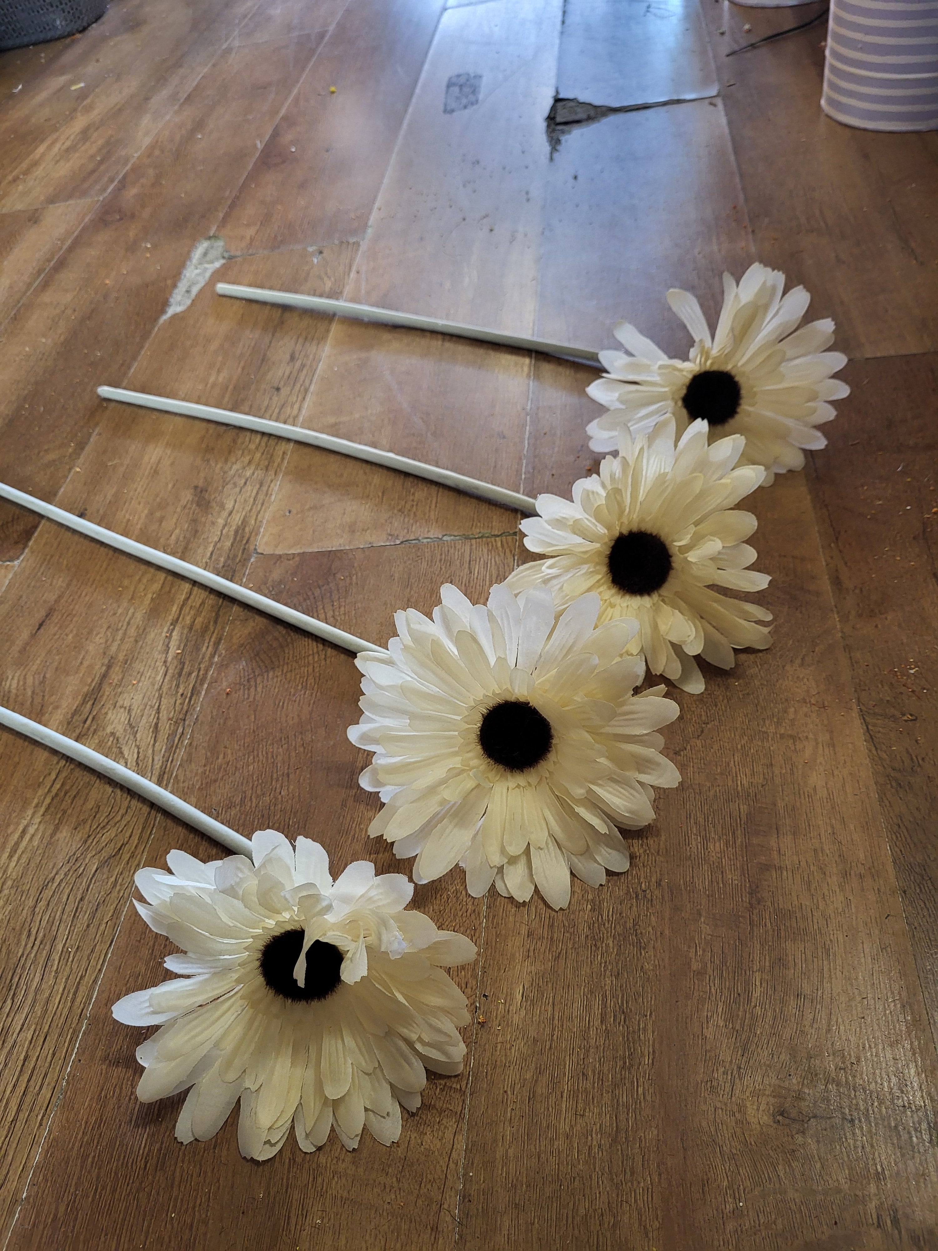 Bundle of 4 cream Long stem giant head gerbera image 2