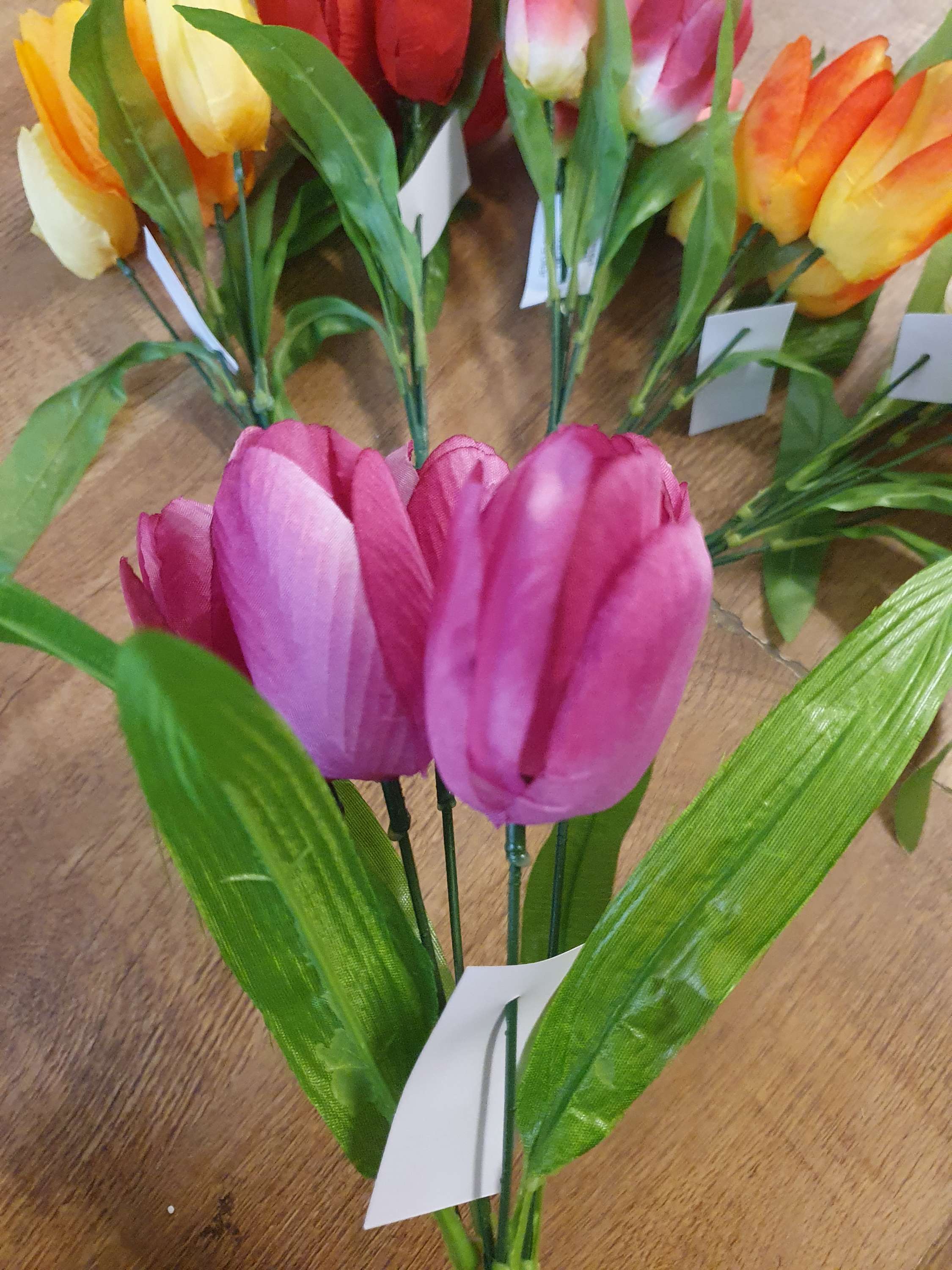 Tulips - 6 colours image 1