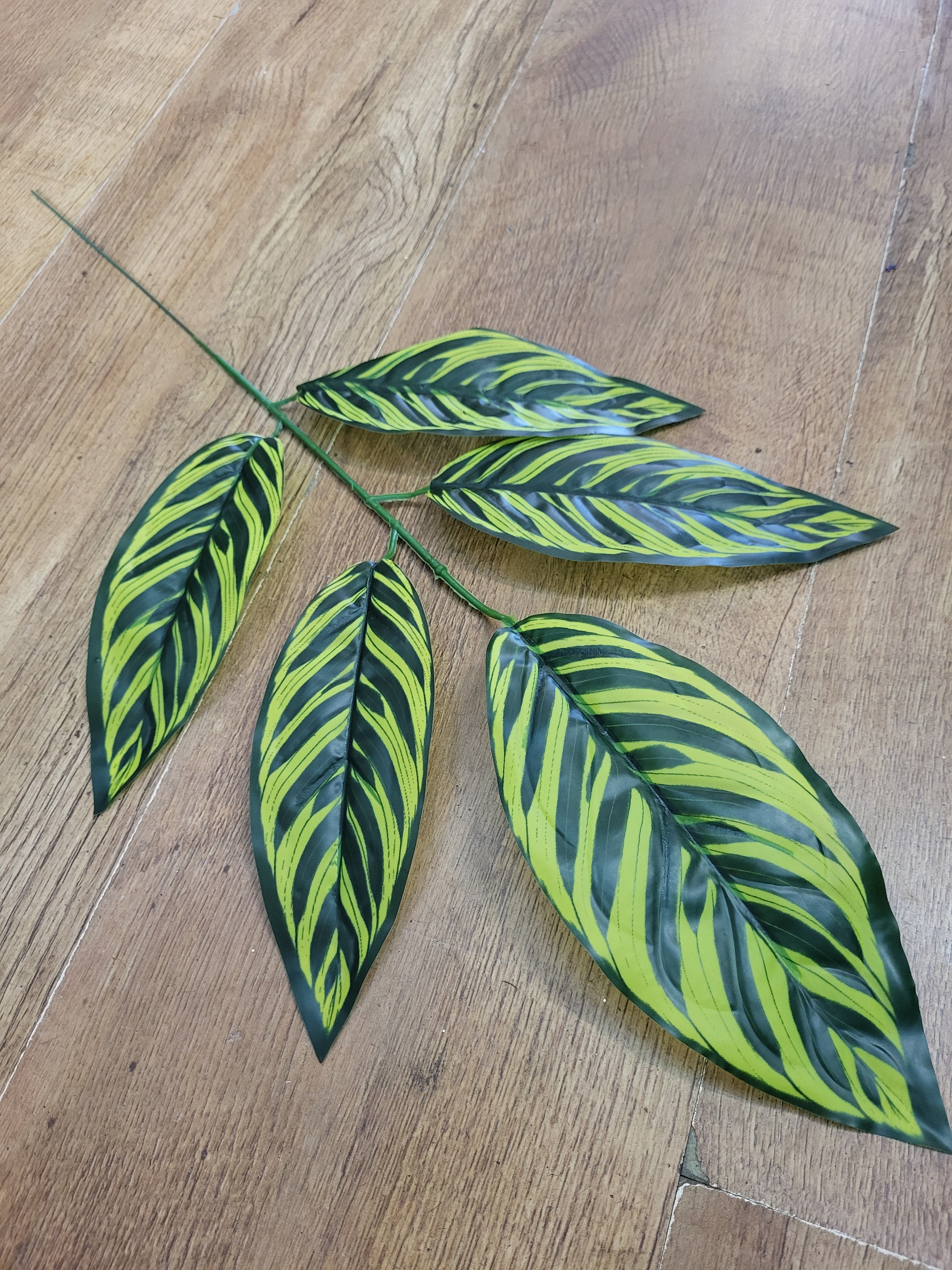 Striped large leaf pick image 1