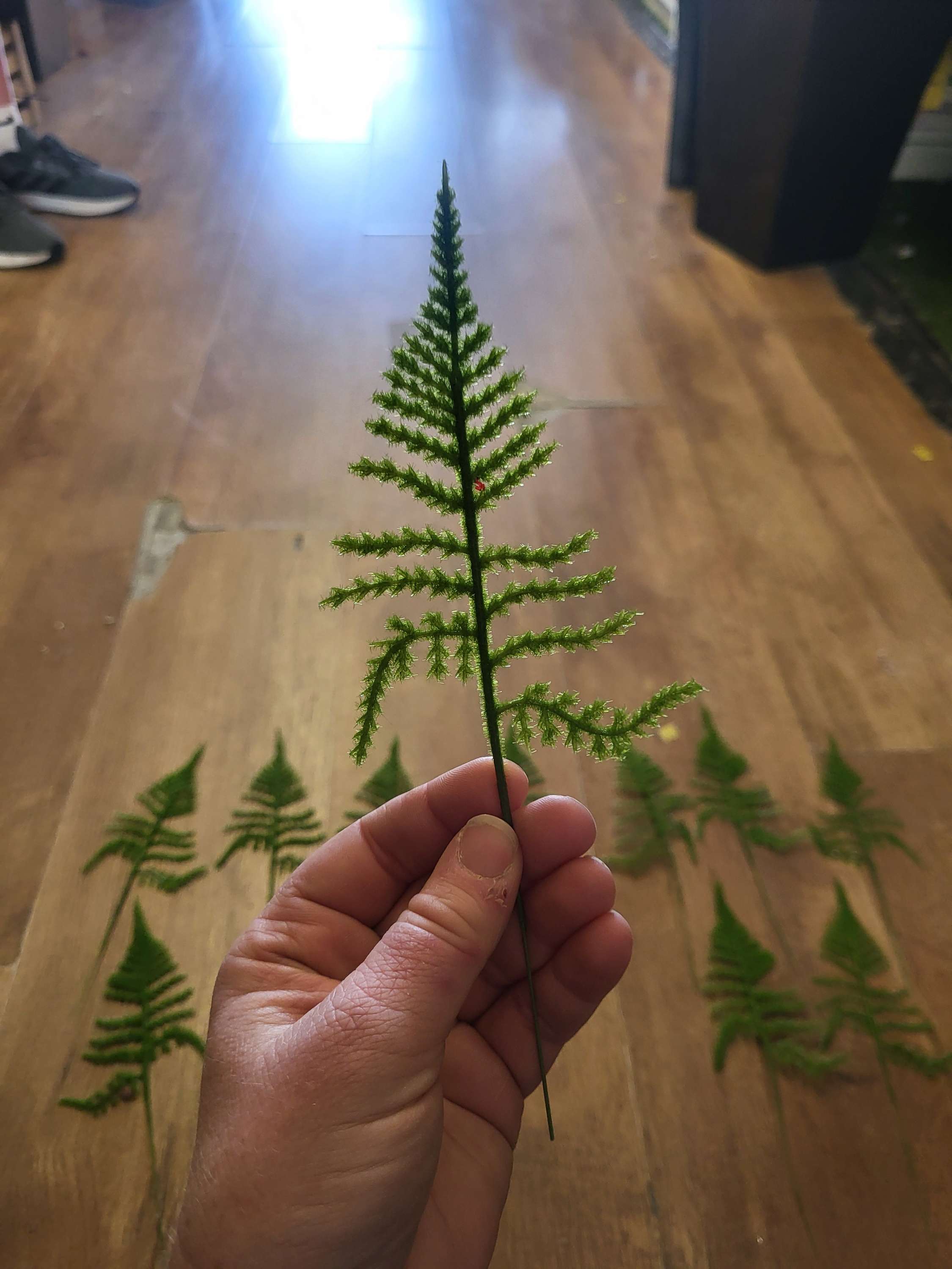 Pack of 12 small flocked fern stems image 1