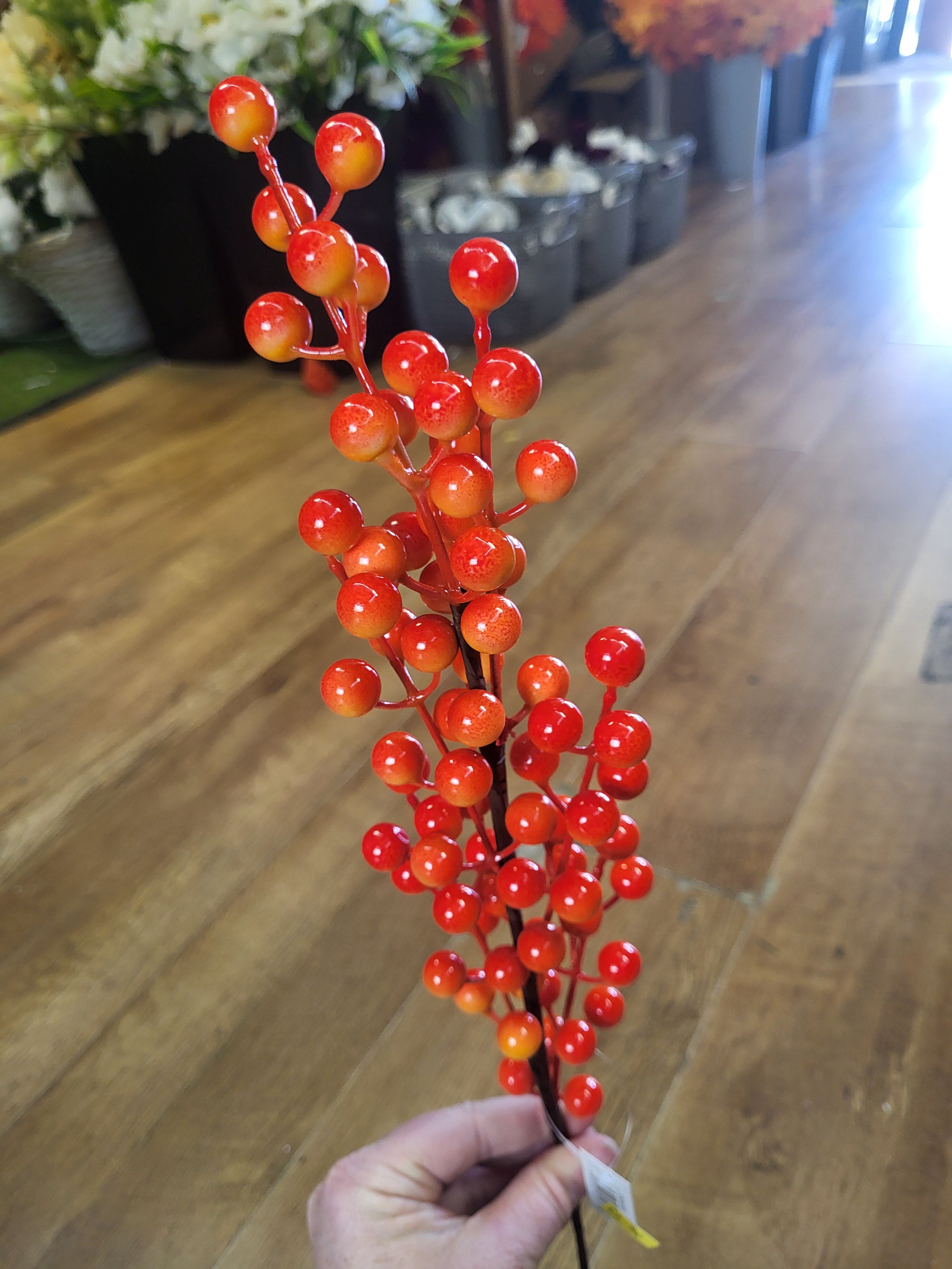 Long stem Orange berry stem image 4