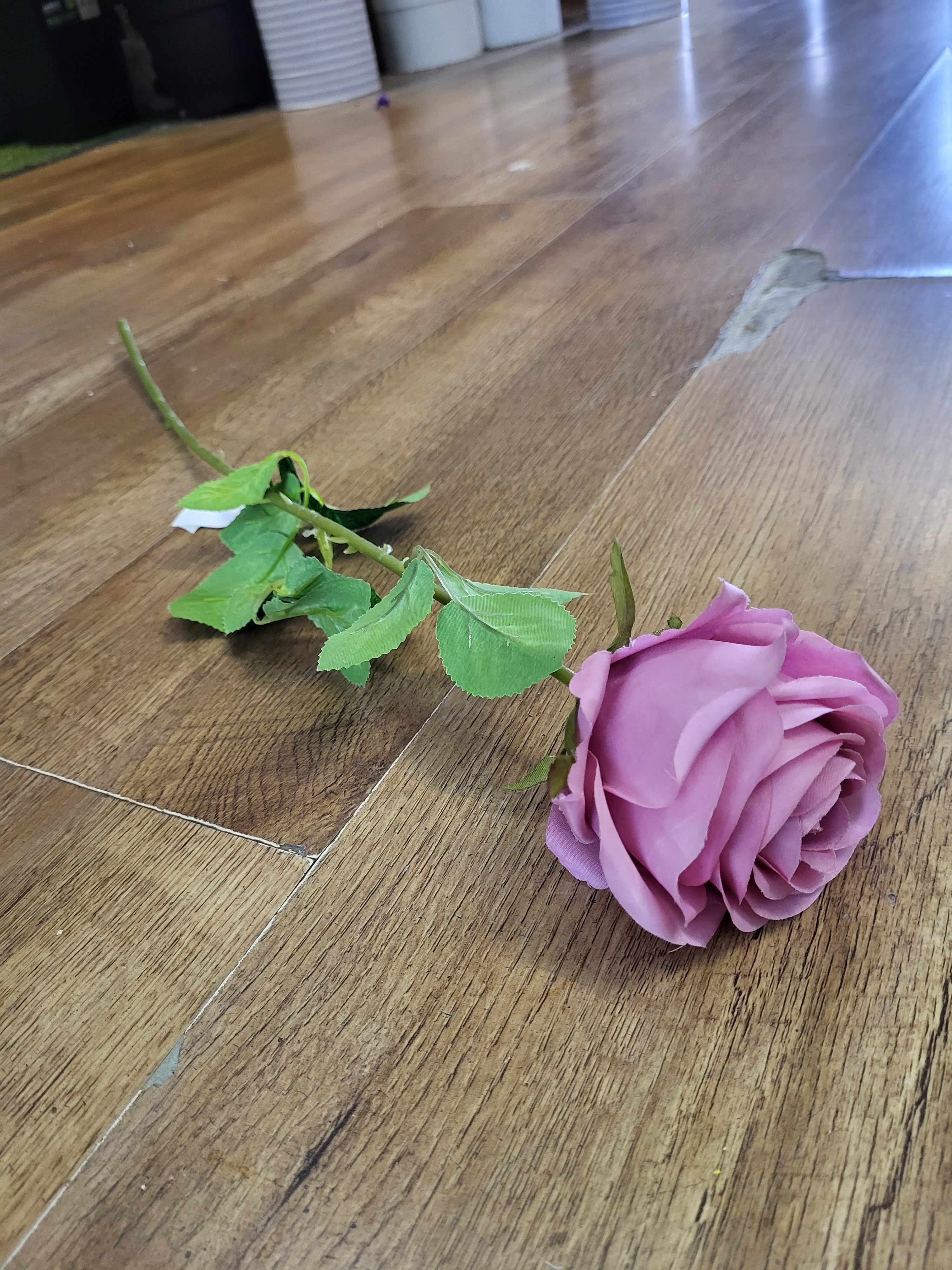 Single blush Harper rose image 0