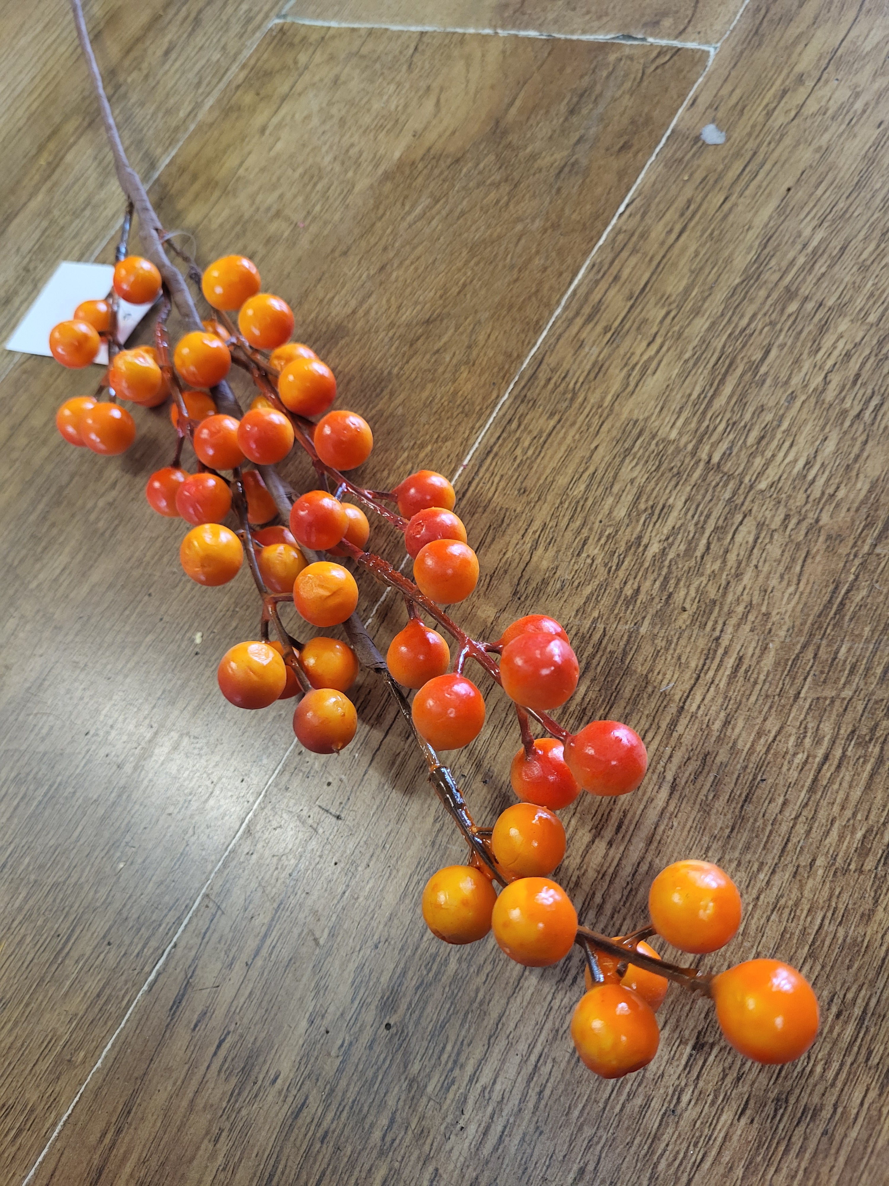 Orange berry stem image 2