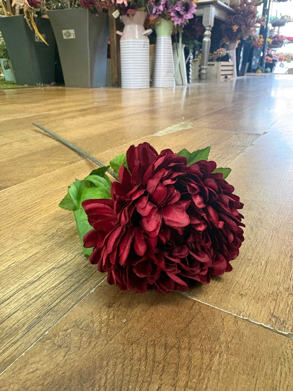 Long stem deep red chrysanthemum