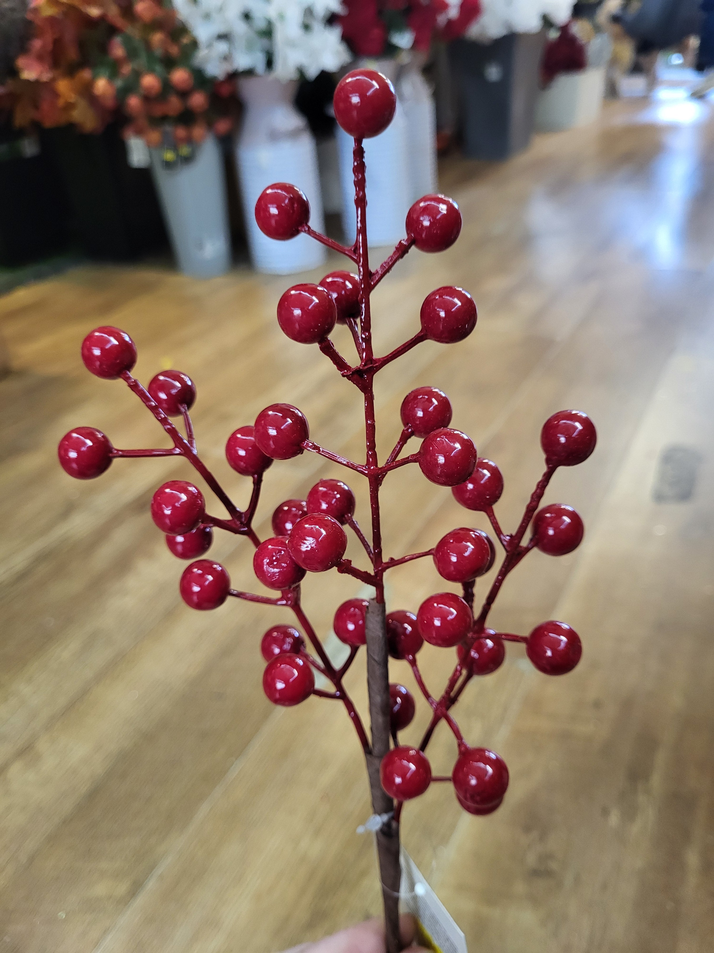 Small red berry branch  image 2