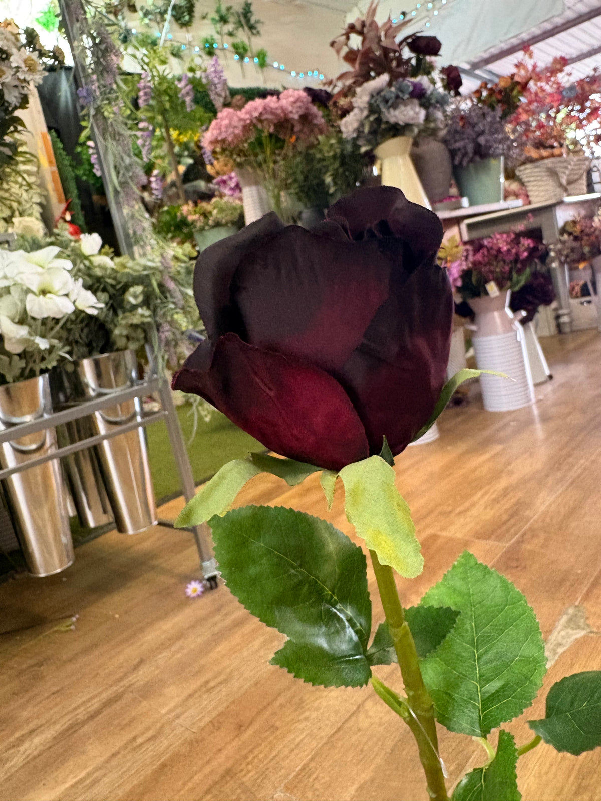 Long stem dark winter rose