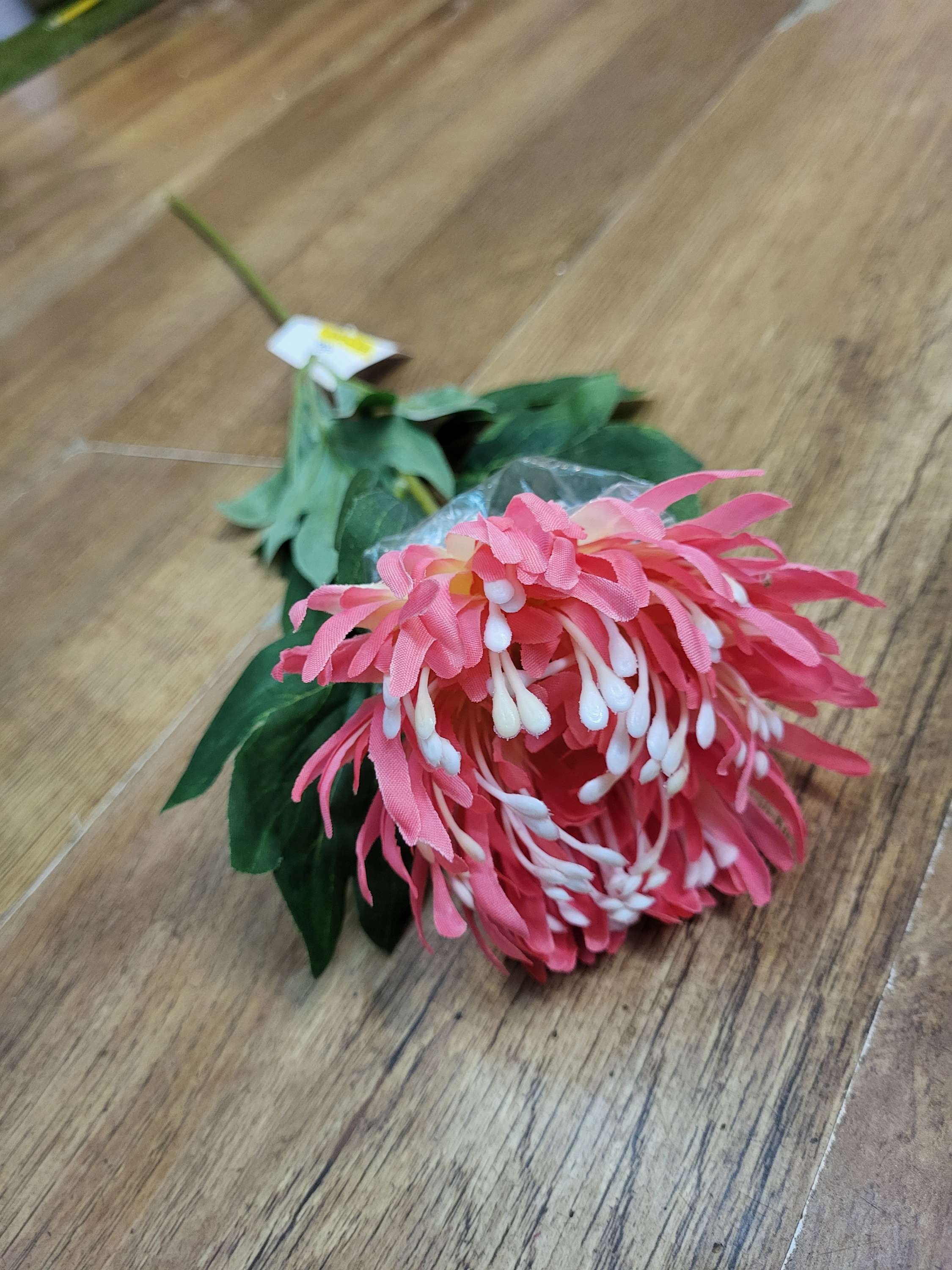 Long stem single chrysanthemum  - 3 colours available image 5