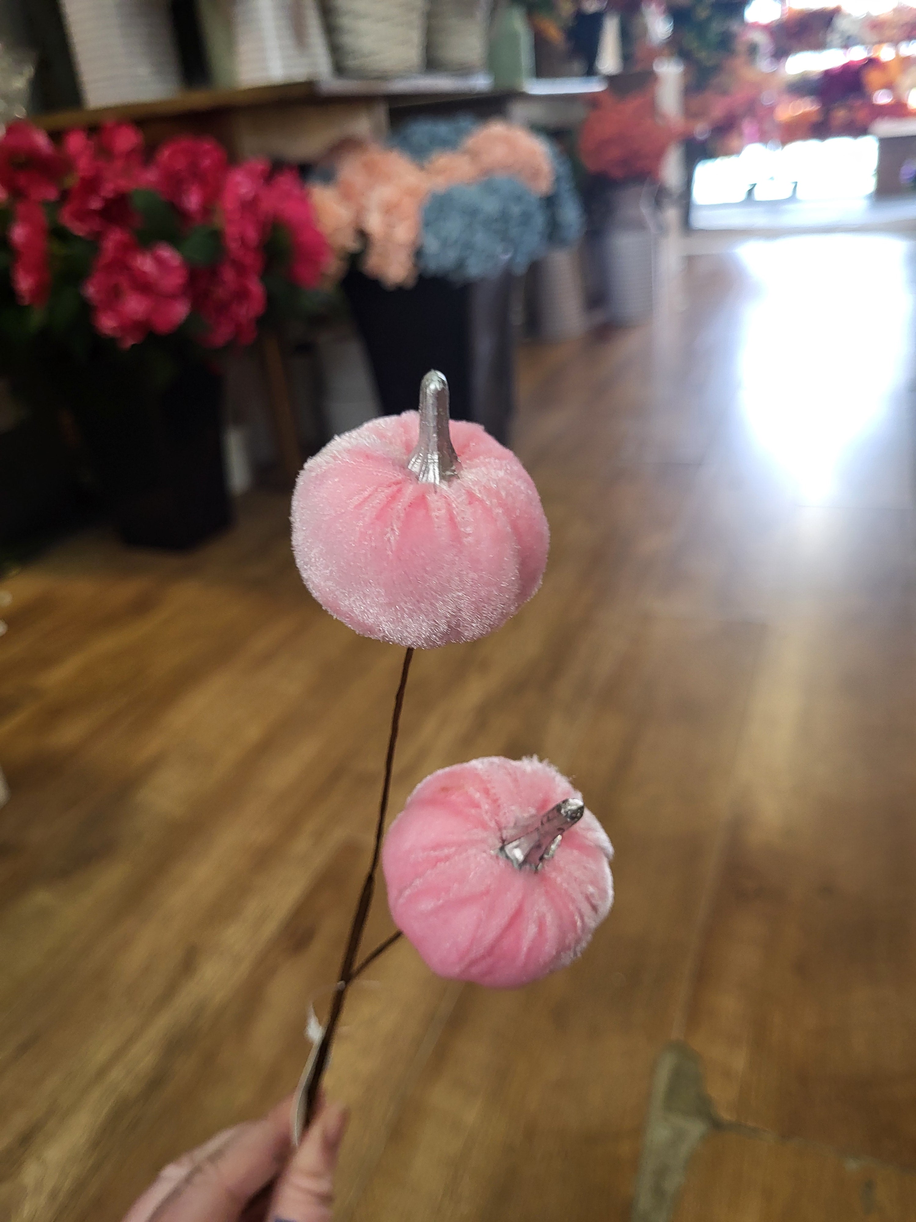 Medium length pale pink velvet pumpkin stem  image 1