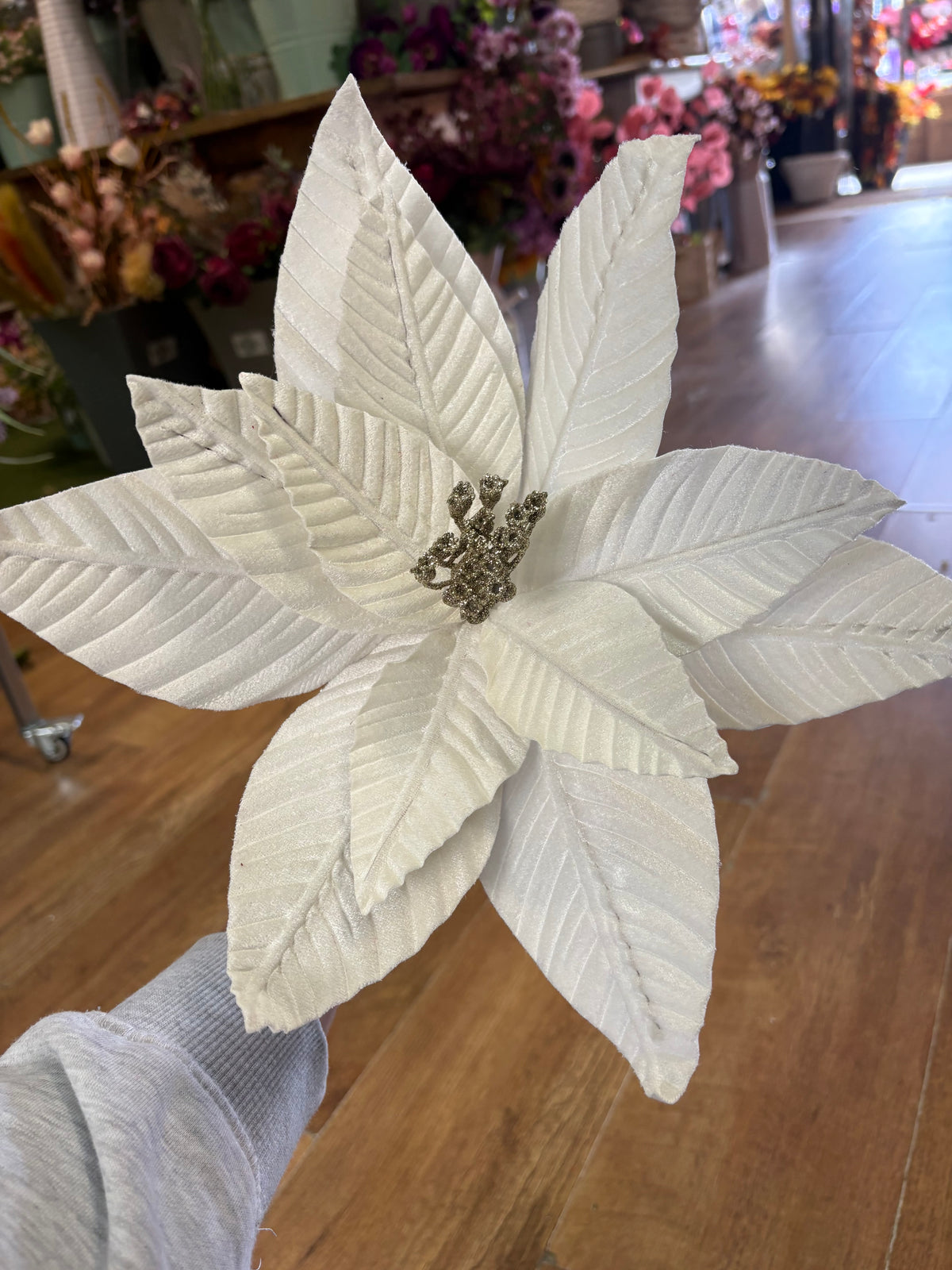 Large white velvet single poinsettia
