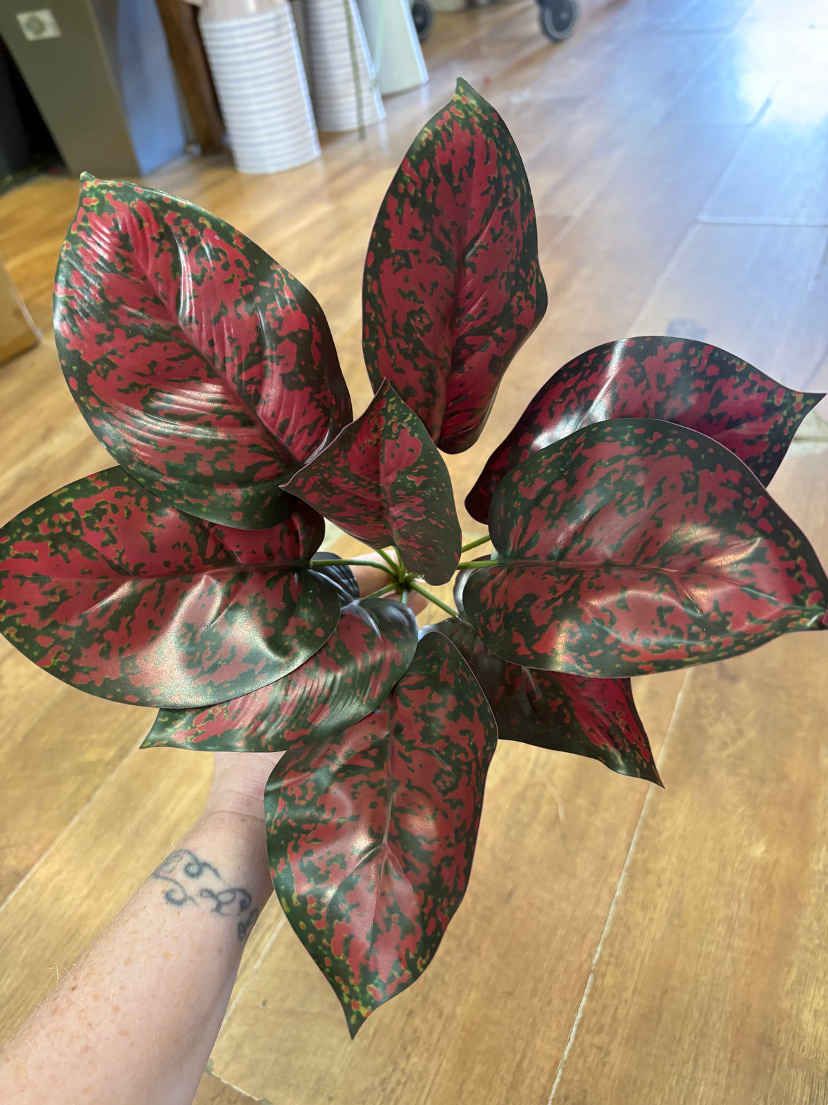 Burgundy and green large leaf bunch