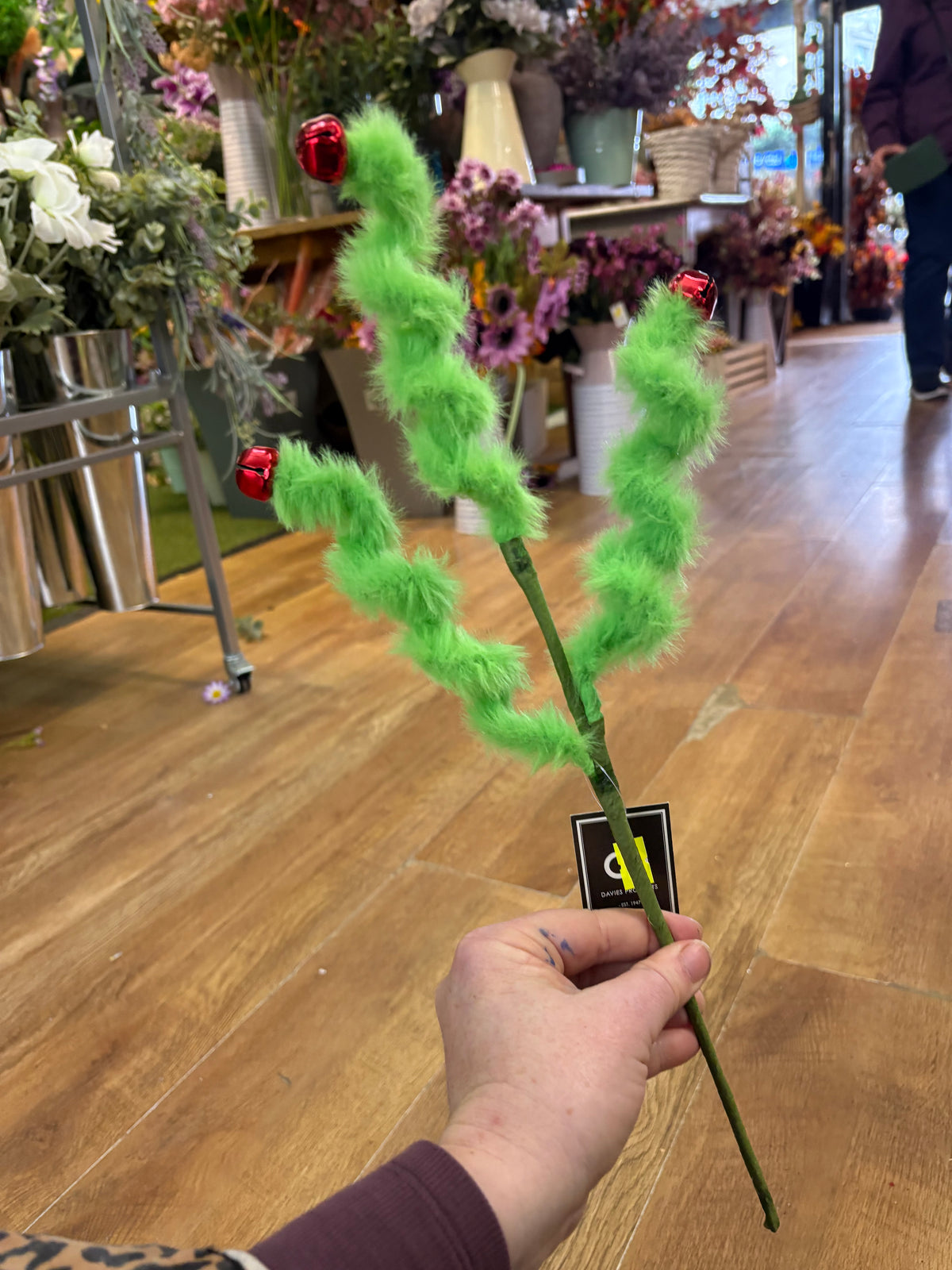 Fluffy green twirly stem with red bells