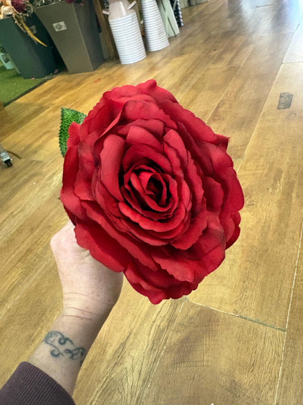 Mediums length red Tudor rose