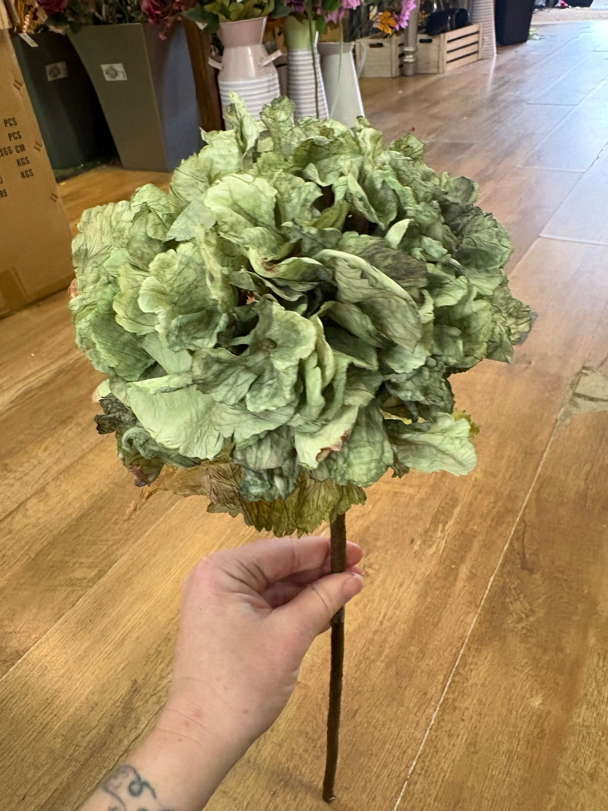 Dried inspired green hydrangea stem
