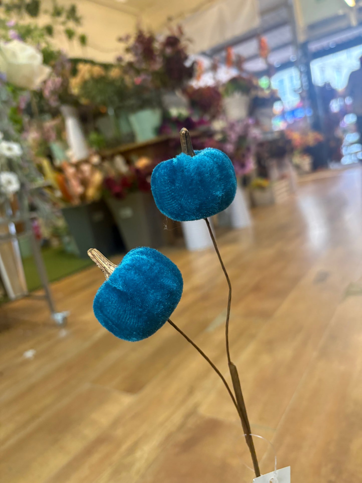 Teal velvet pumpkin stem