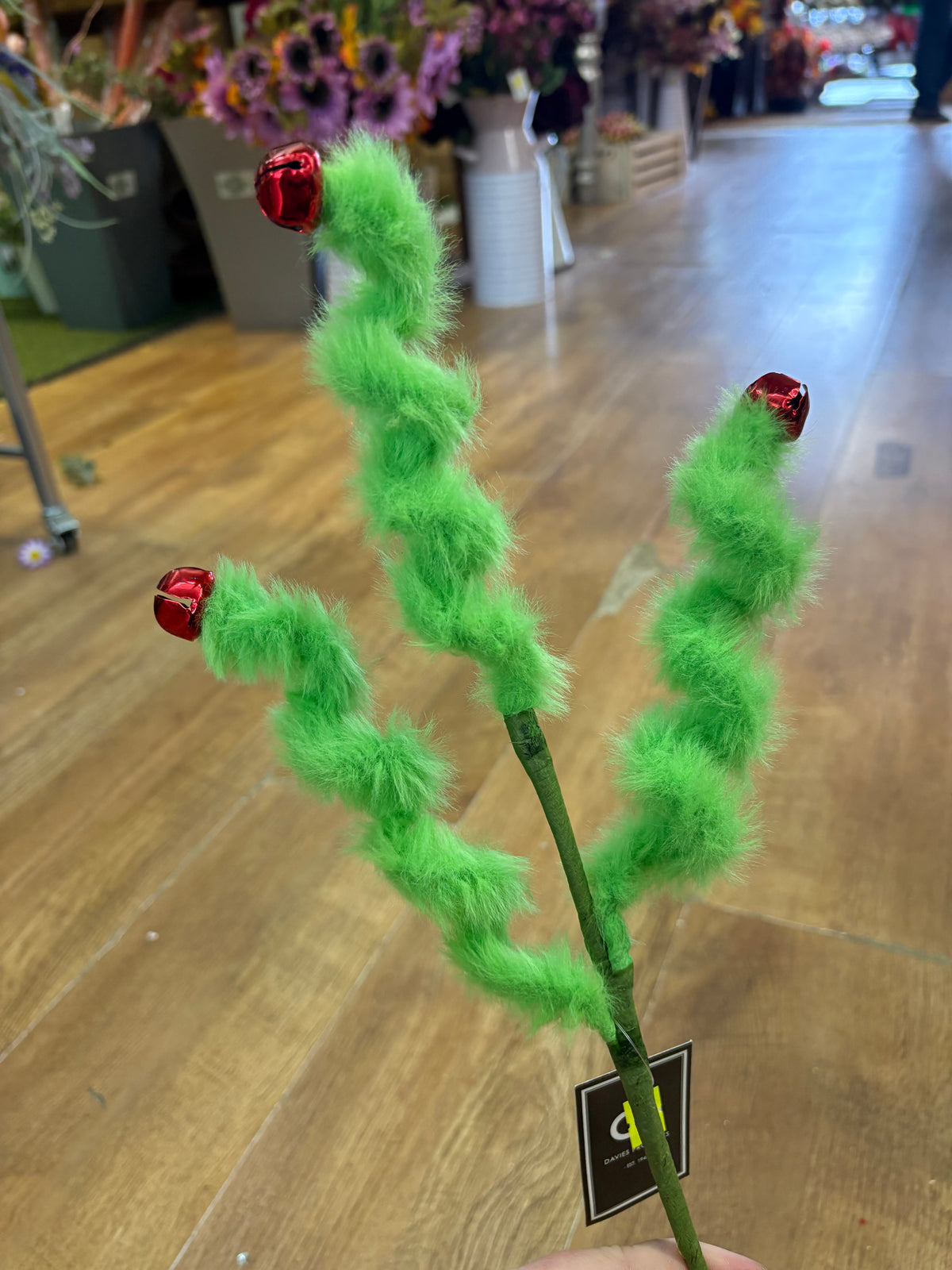 Fluffy green twirly stem with red bells