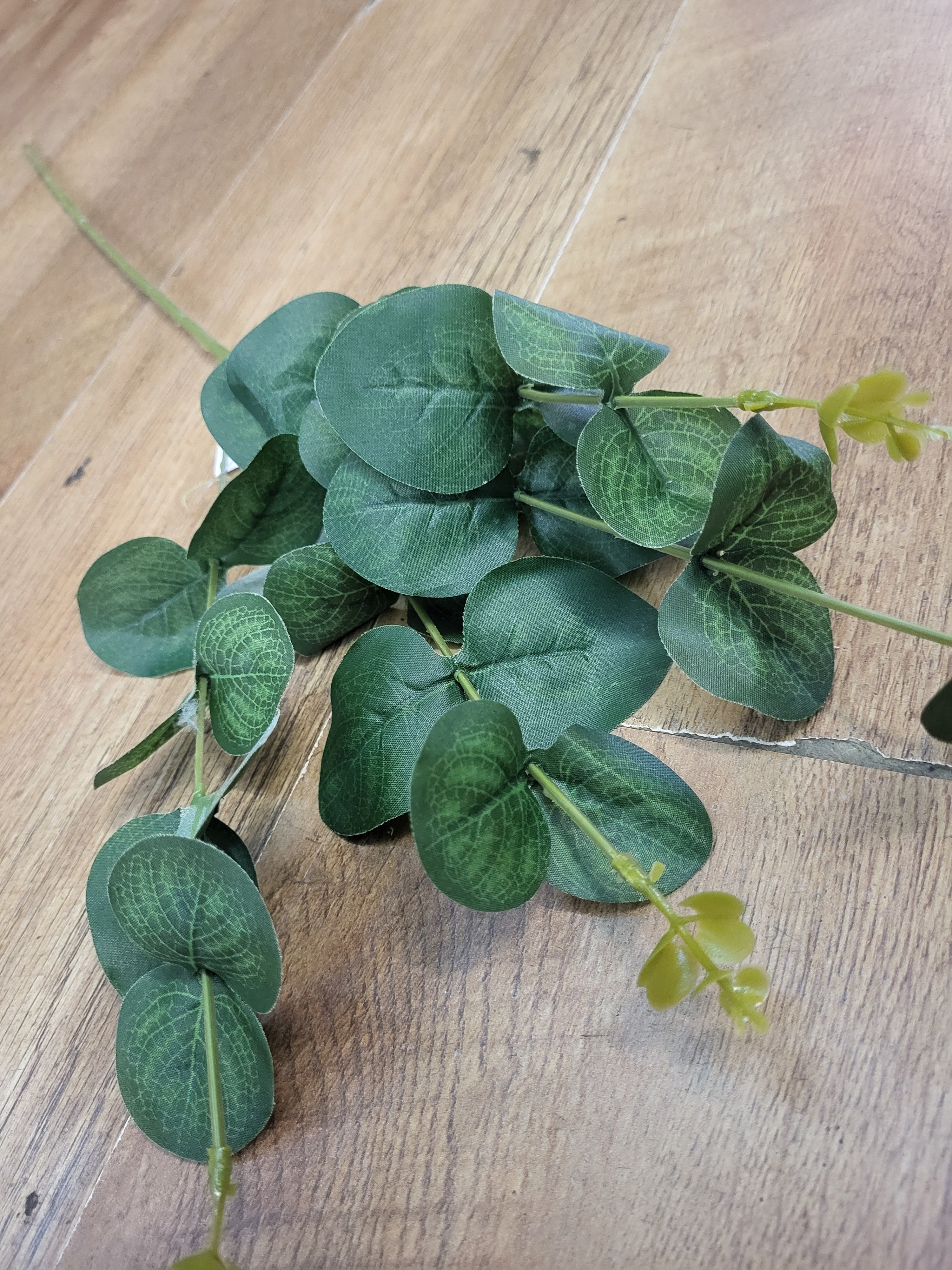 Long stem eucalyptus  - 3 shades available image 7