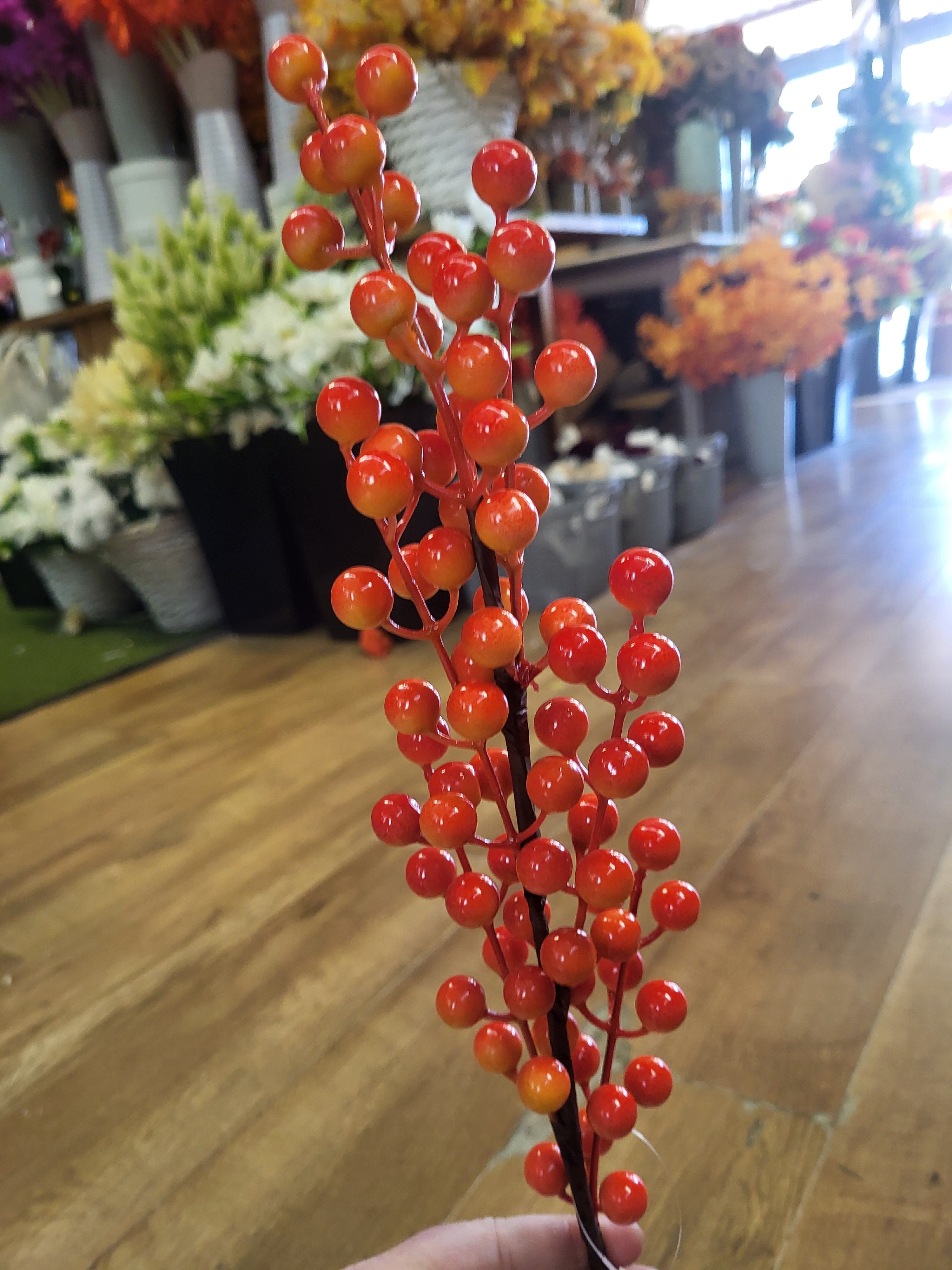 Long stem Orange berry stem image 3