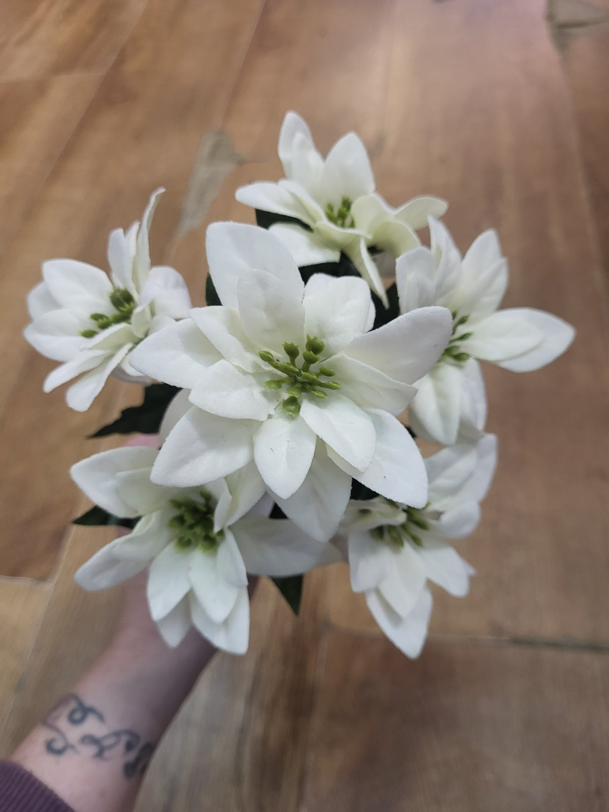 Cream velvet mini poinsettia bunch image 0