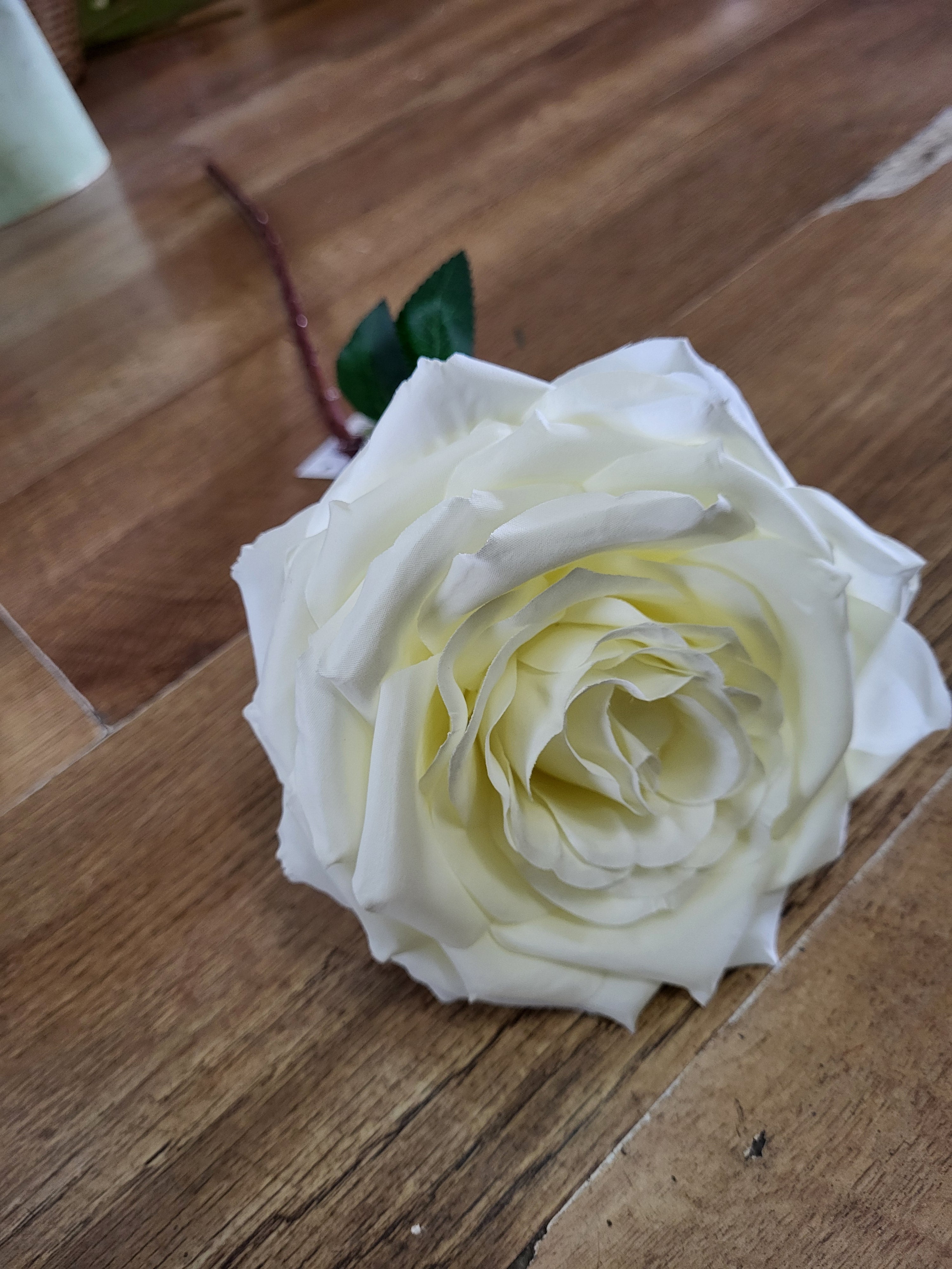 Long stem cream Marie rose image 0