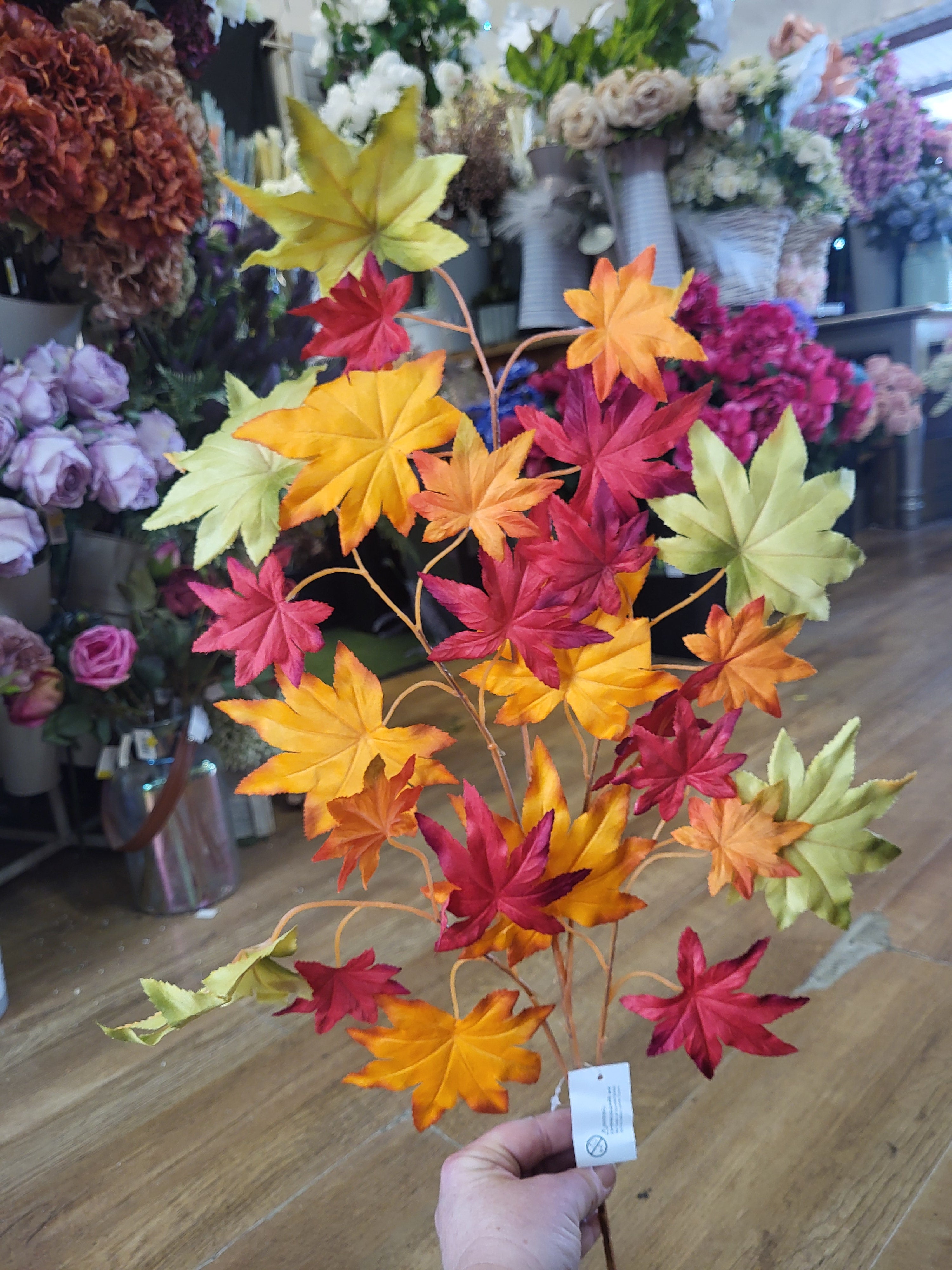 Autumnal maple leaf branch image 0