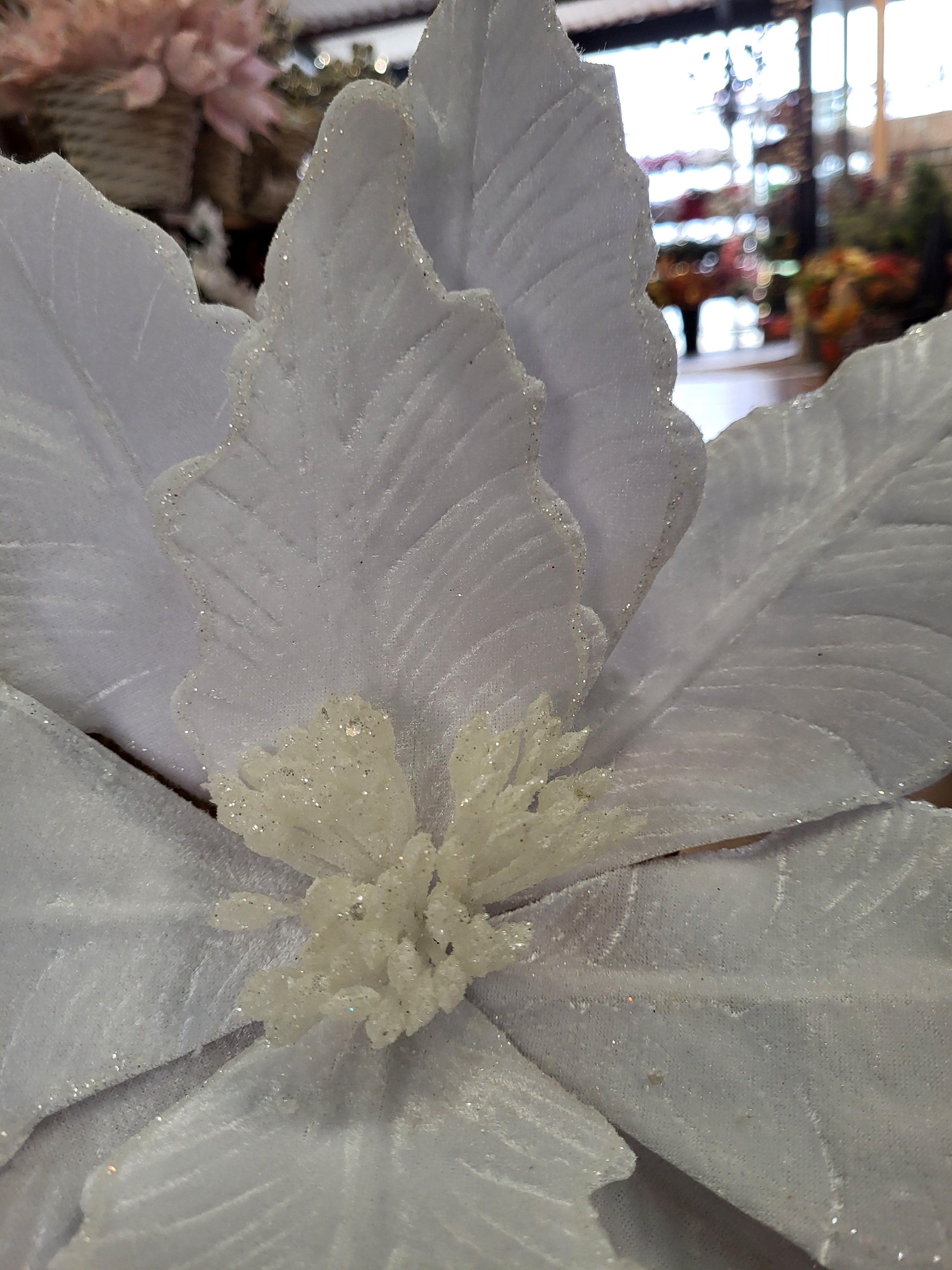Luxury 50cm white velvet with glittered edge giant single poinsettia image 2