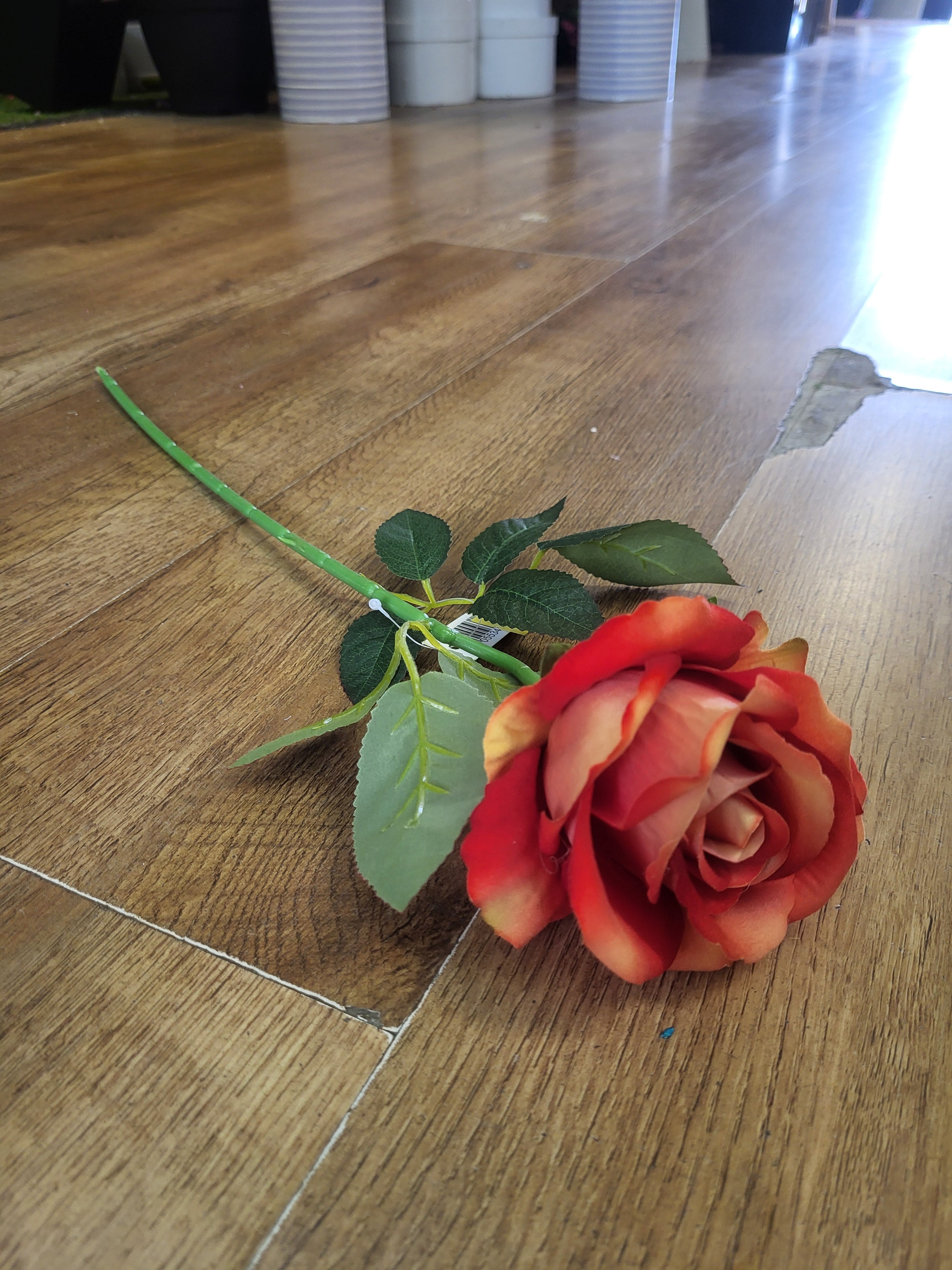 Medium length firey orange velvet rose image 0