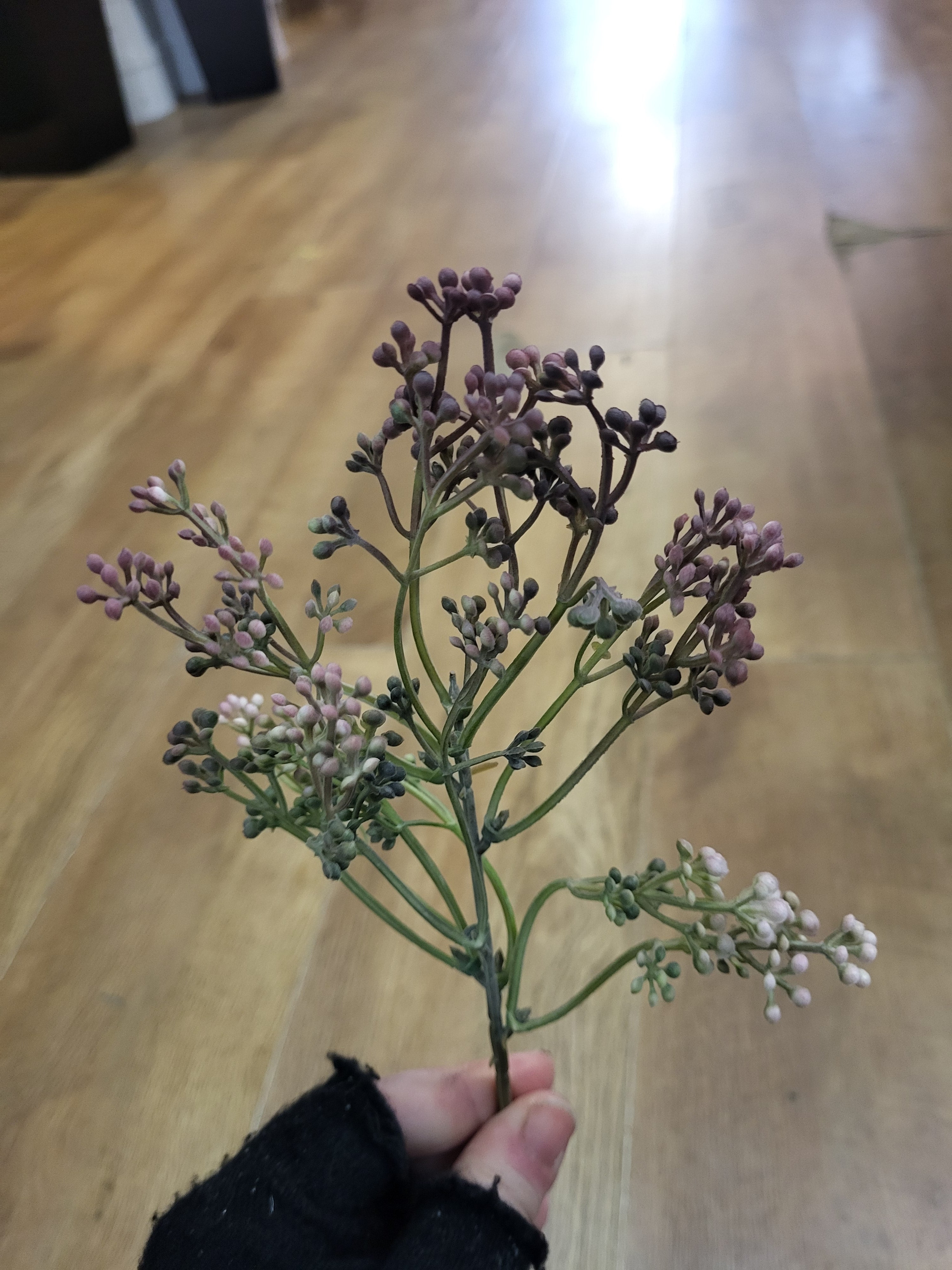 Dusky vintage pink Felicity bud pick image 4