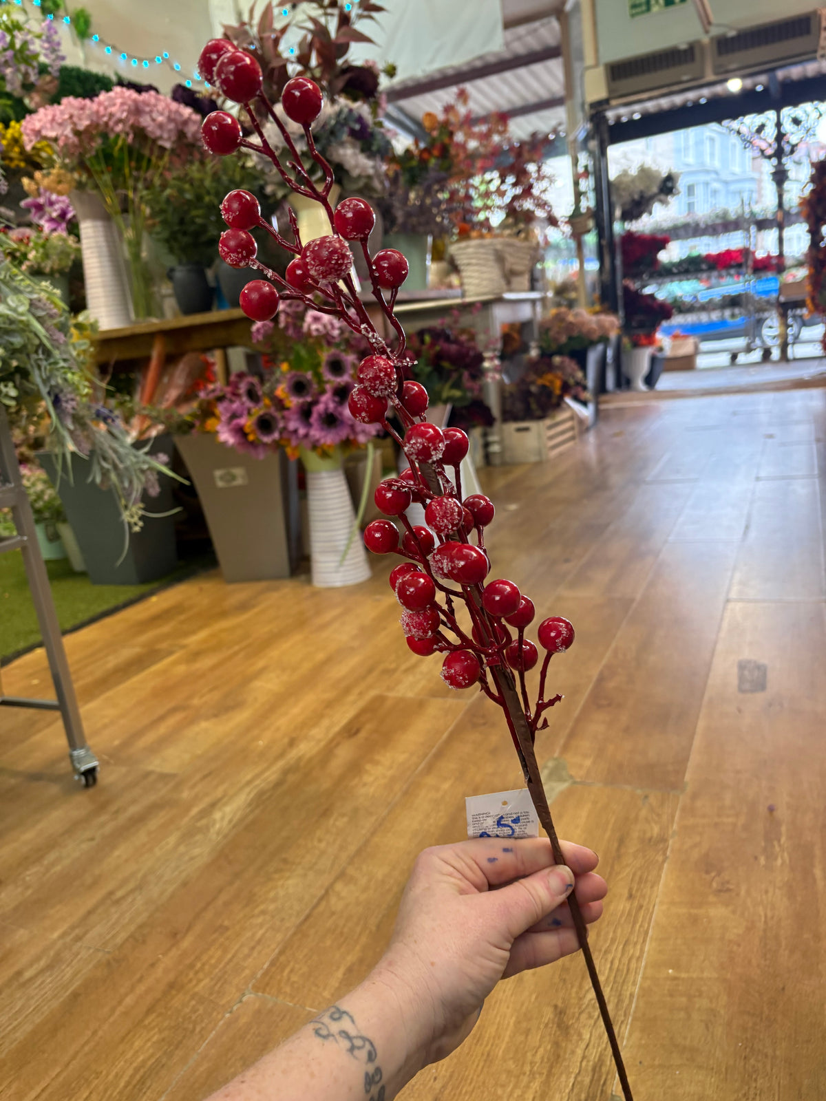 Long stem frosted red berry spray