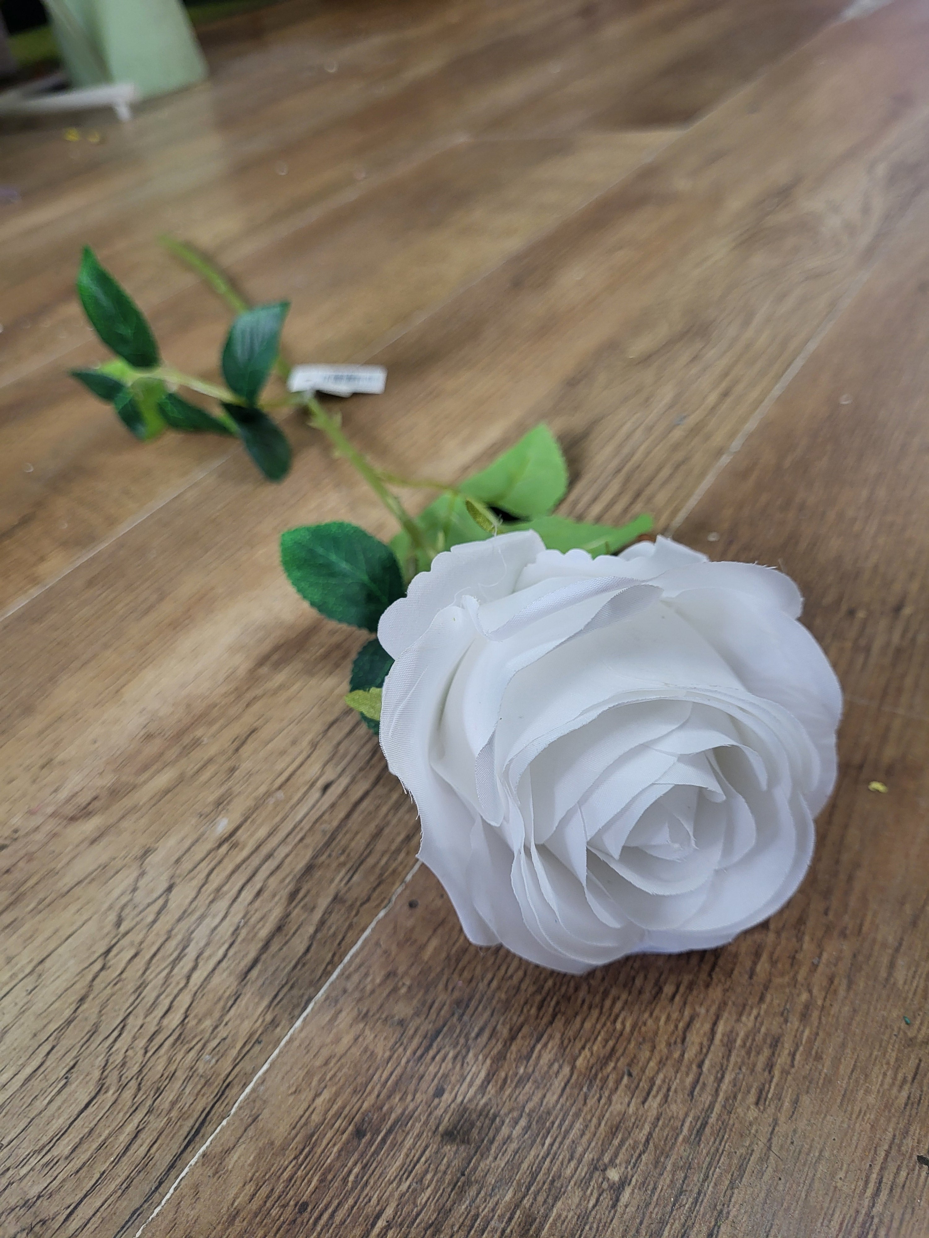 Single white Harper rose image 1