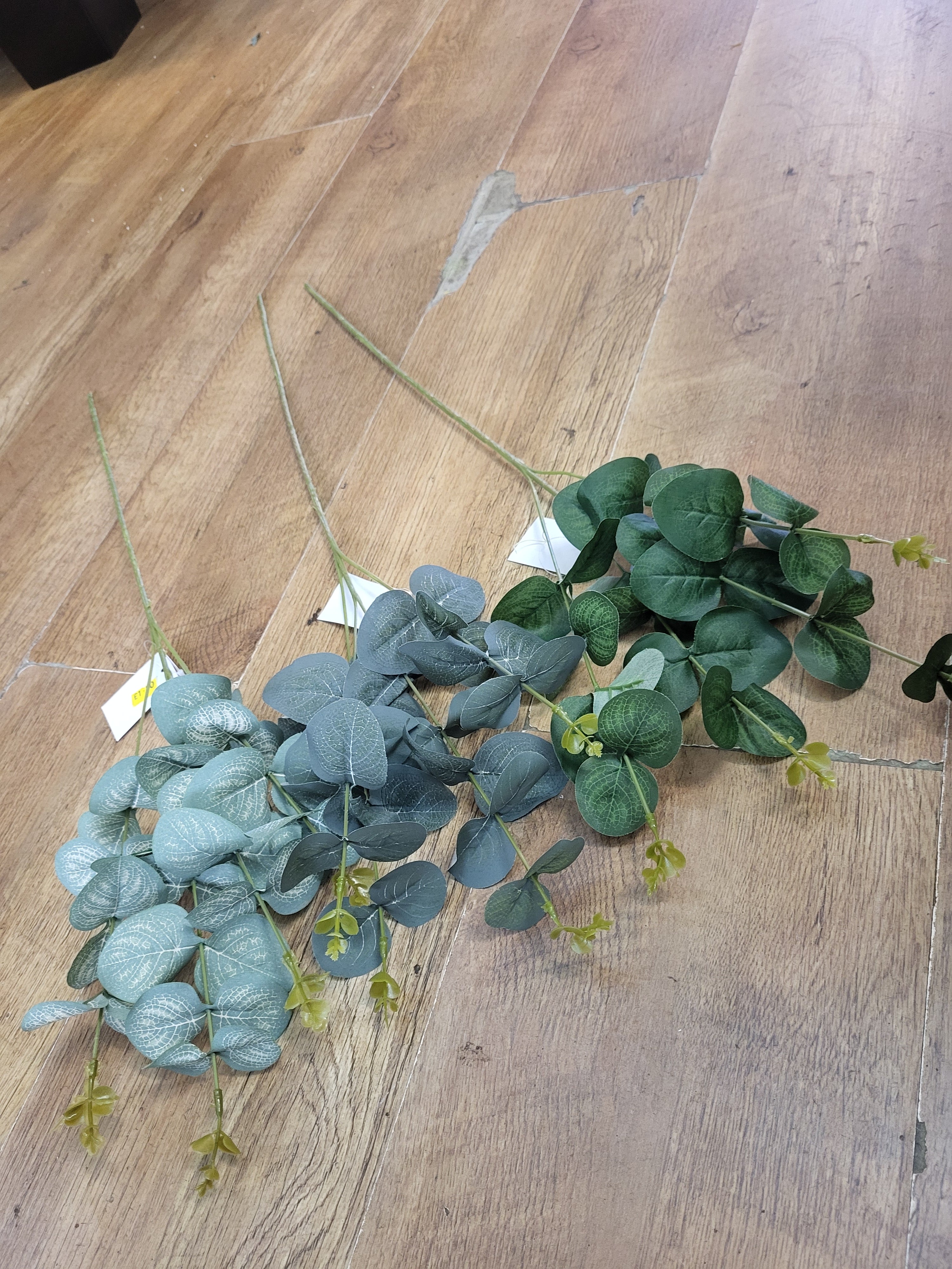 Long stem eucalyptus  - 3 shades available image 2