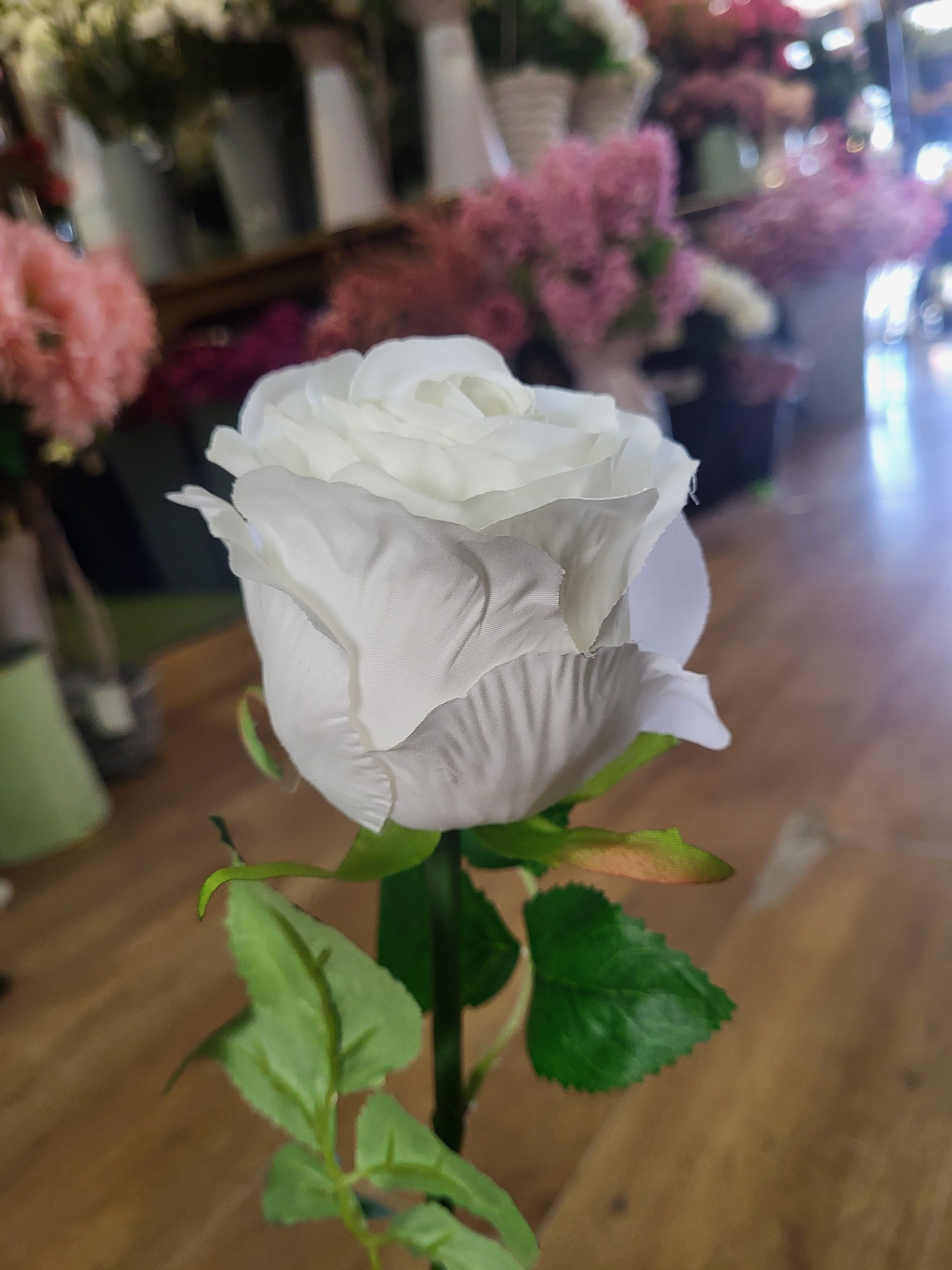 White Lila Rose  image 0