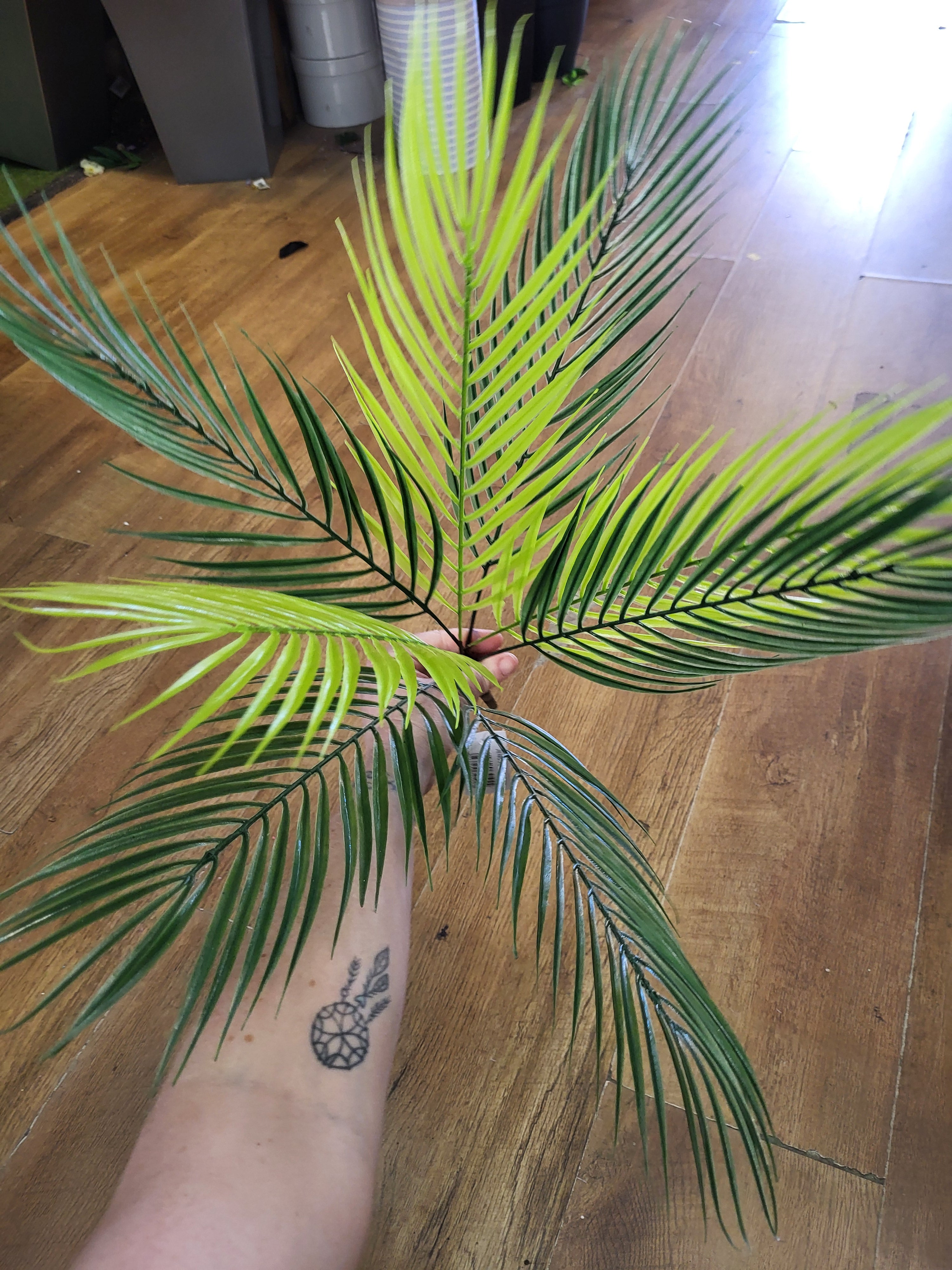 Large mixed green Palm bunch image 0