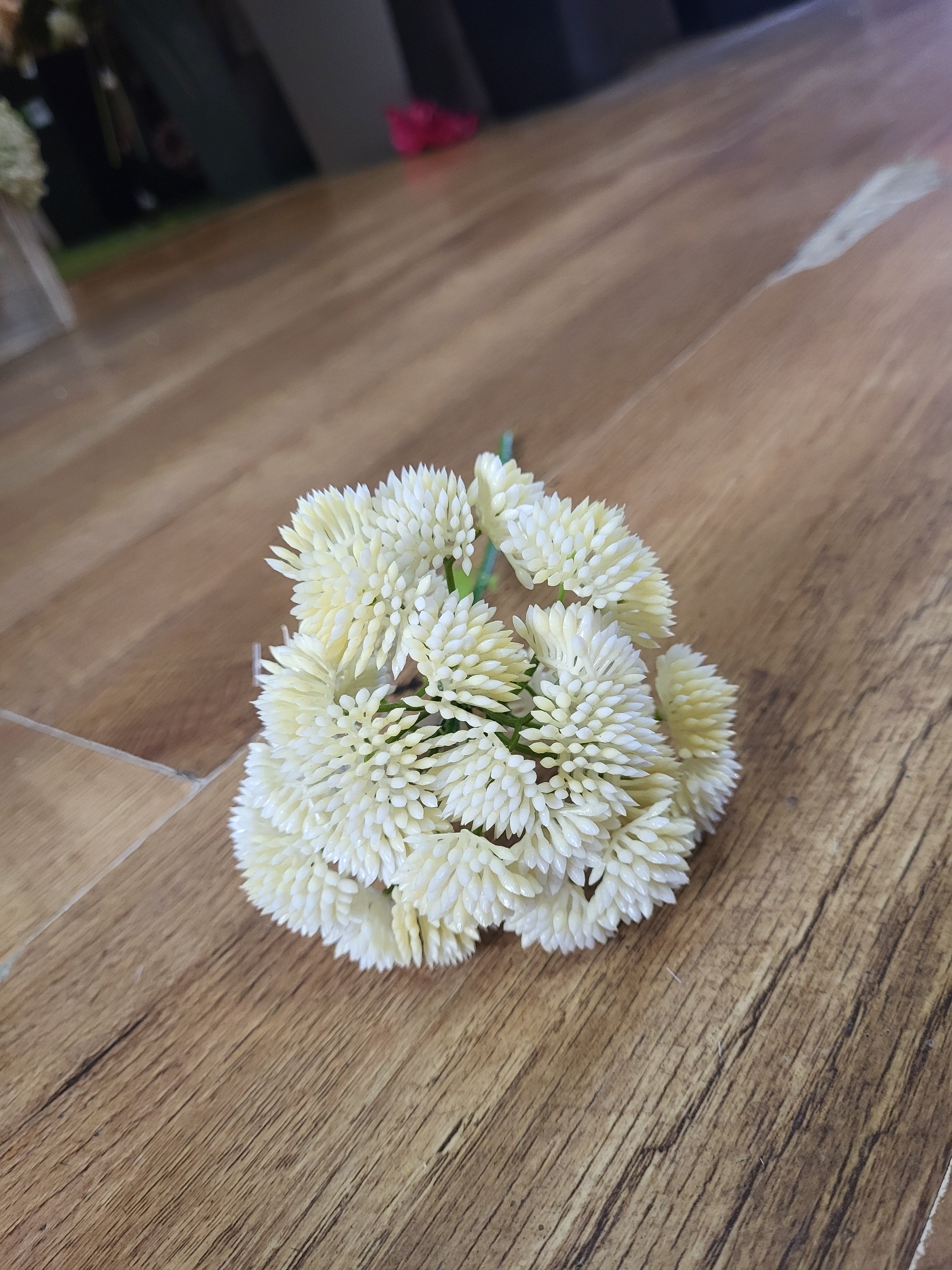 Short cream Sedum Stem image 5