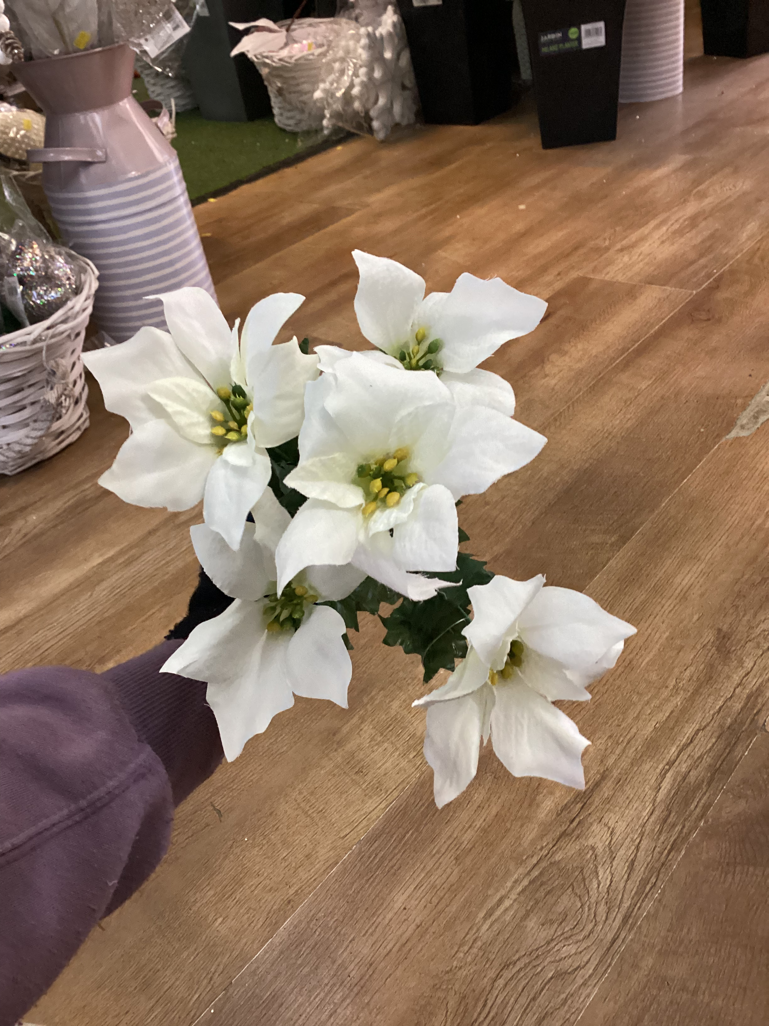 Plain poinsettia bunch - 2 colours available image 3