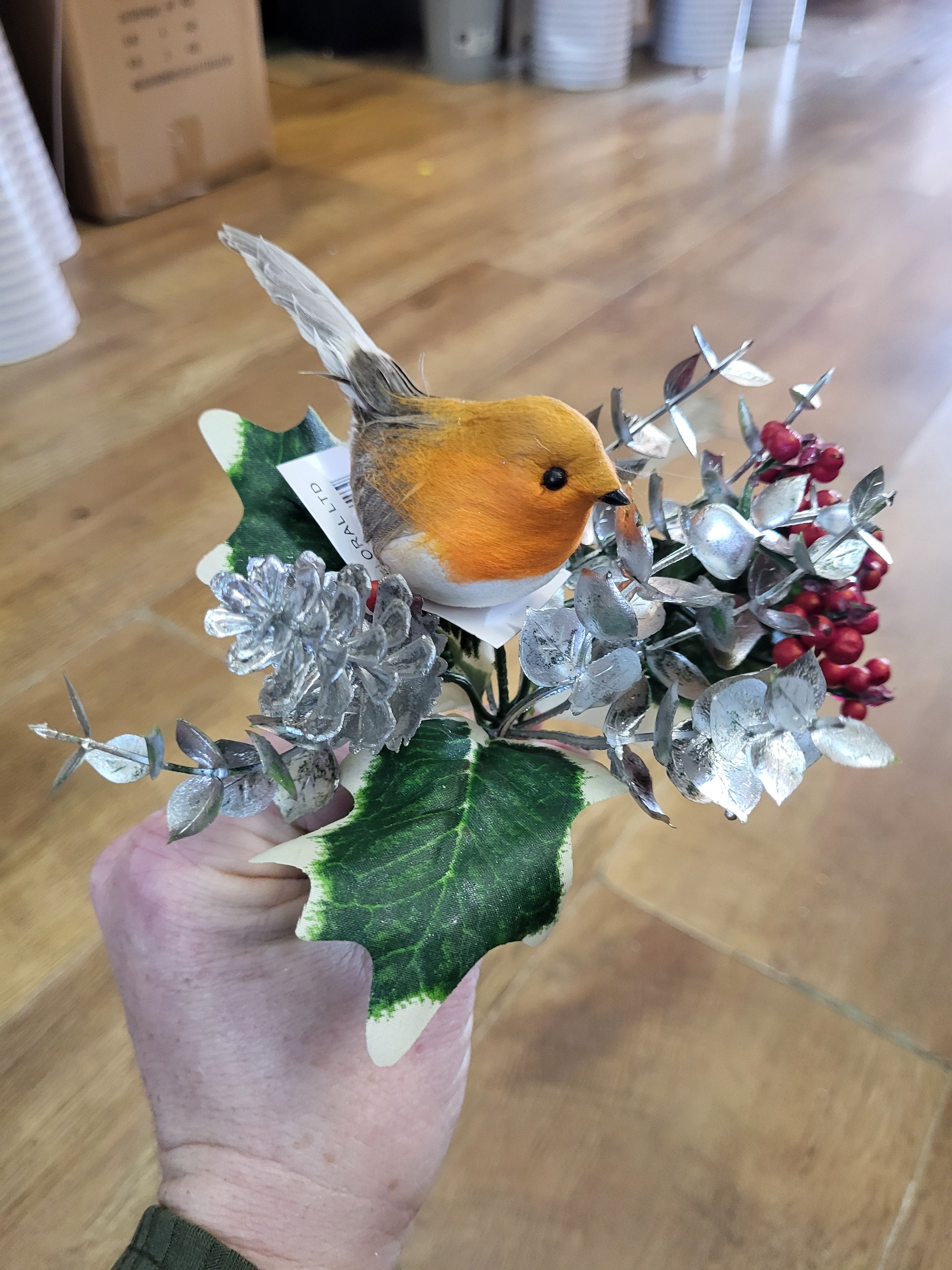 Robin with silver eucalyptus pick  image 1