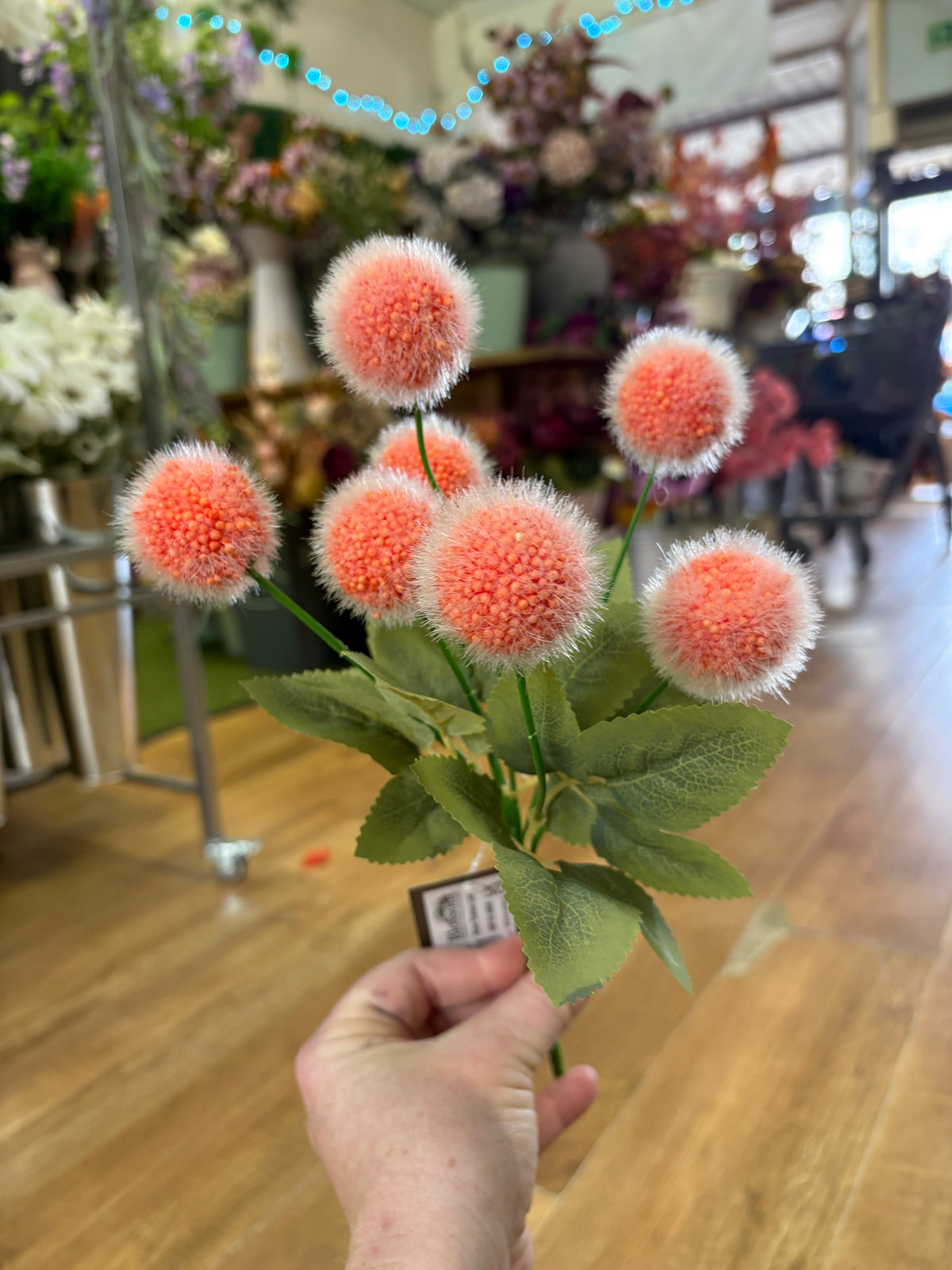 Orange fluffy balls bunch