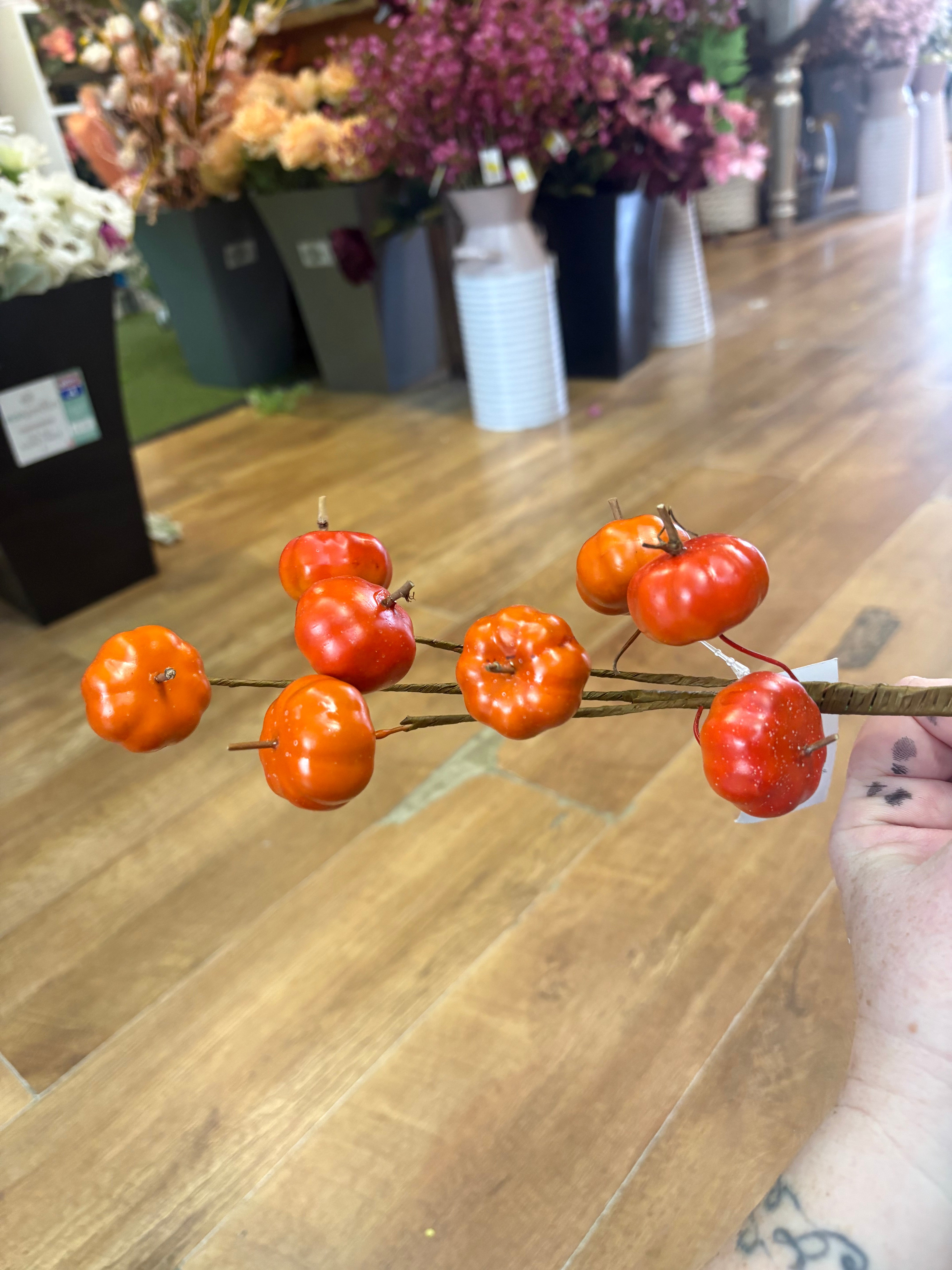 Mini Pumpkin branch