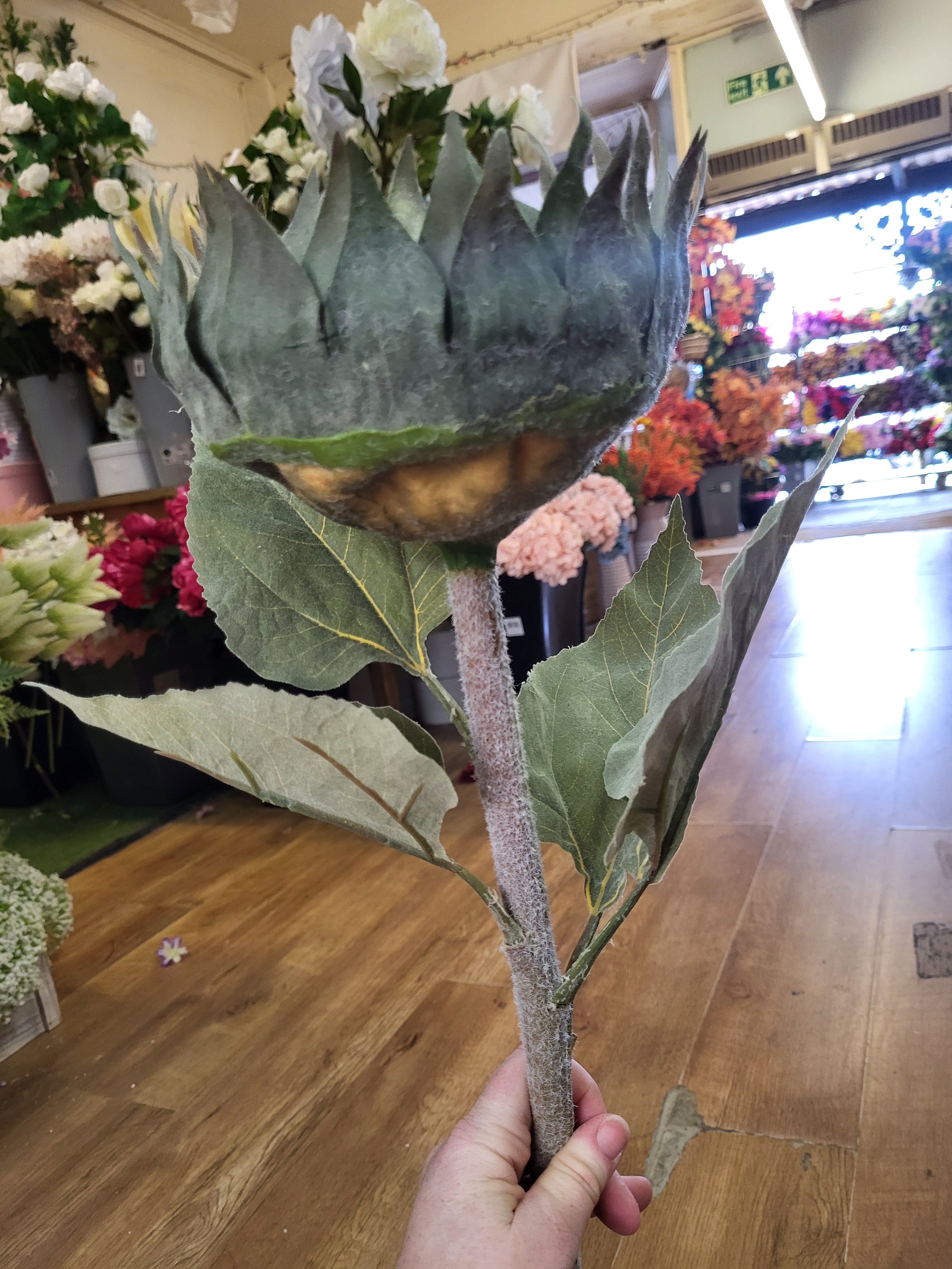 Long stem dried inspired large headed sunflower  image 2