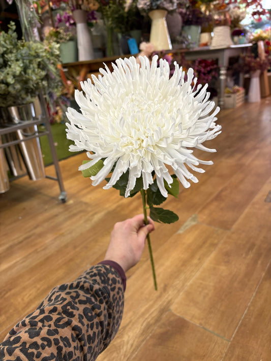 Long stem white Fuji mum