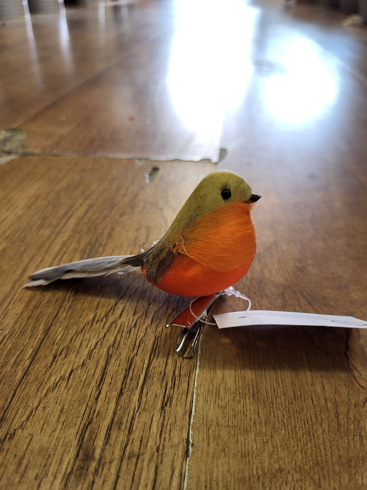 Clip on Robin image 0