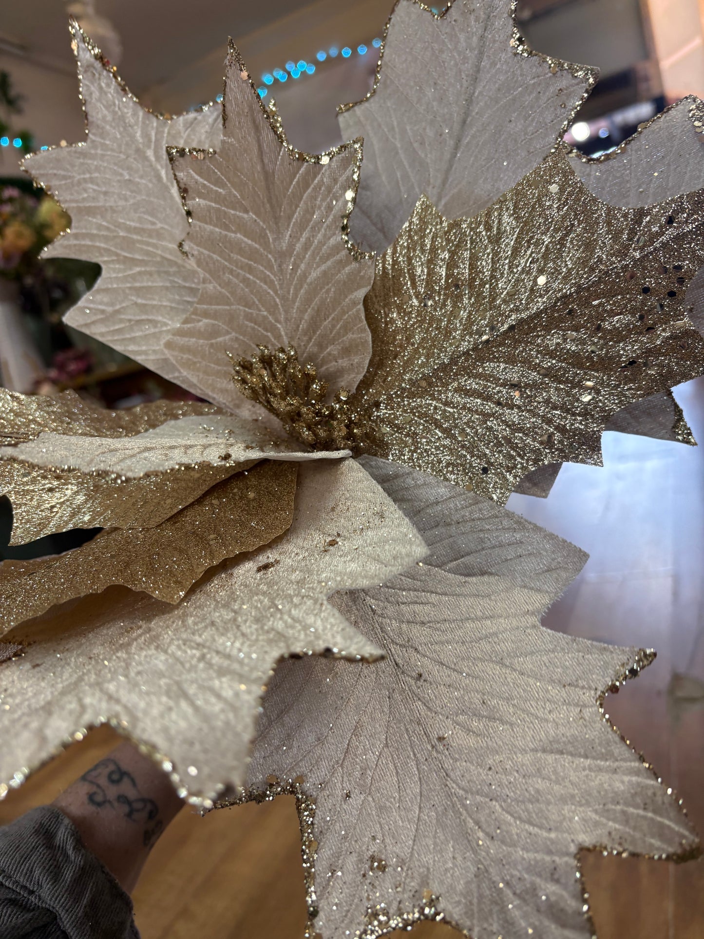 Large champagne and gold, velvet and glittered poinsettia