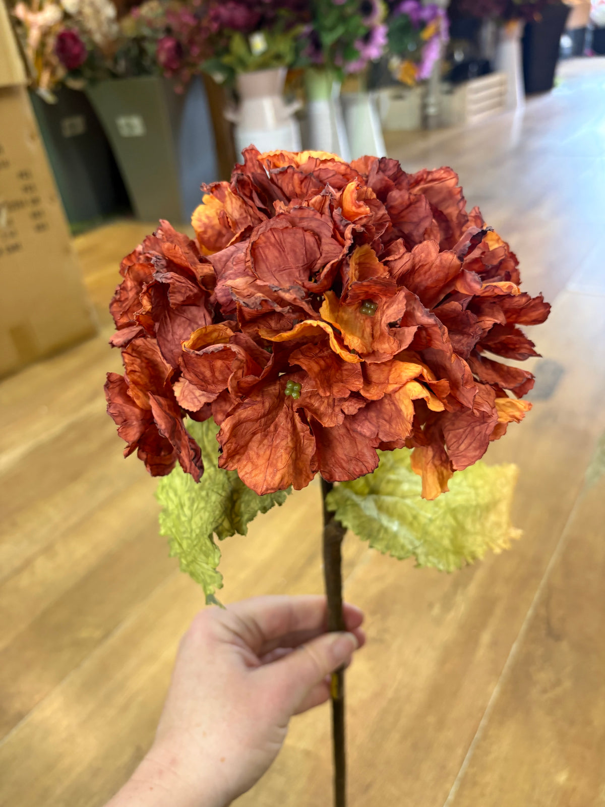 Dried inspired Russet hydrangea stem