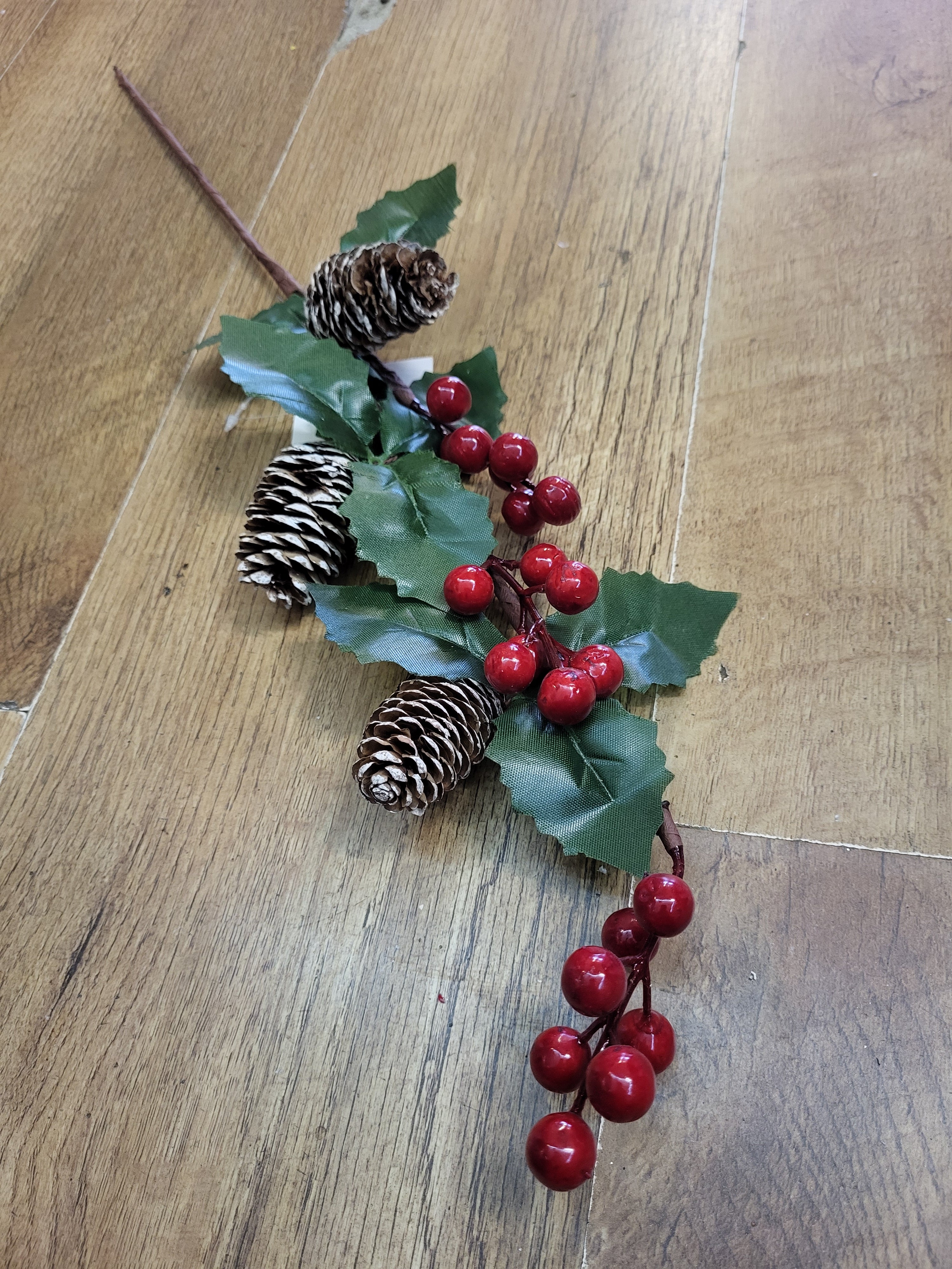 Long stem cones and berries spray image 0