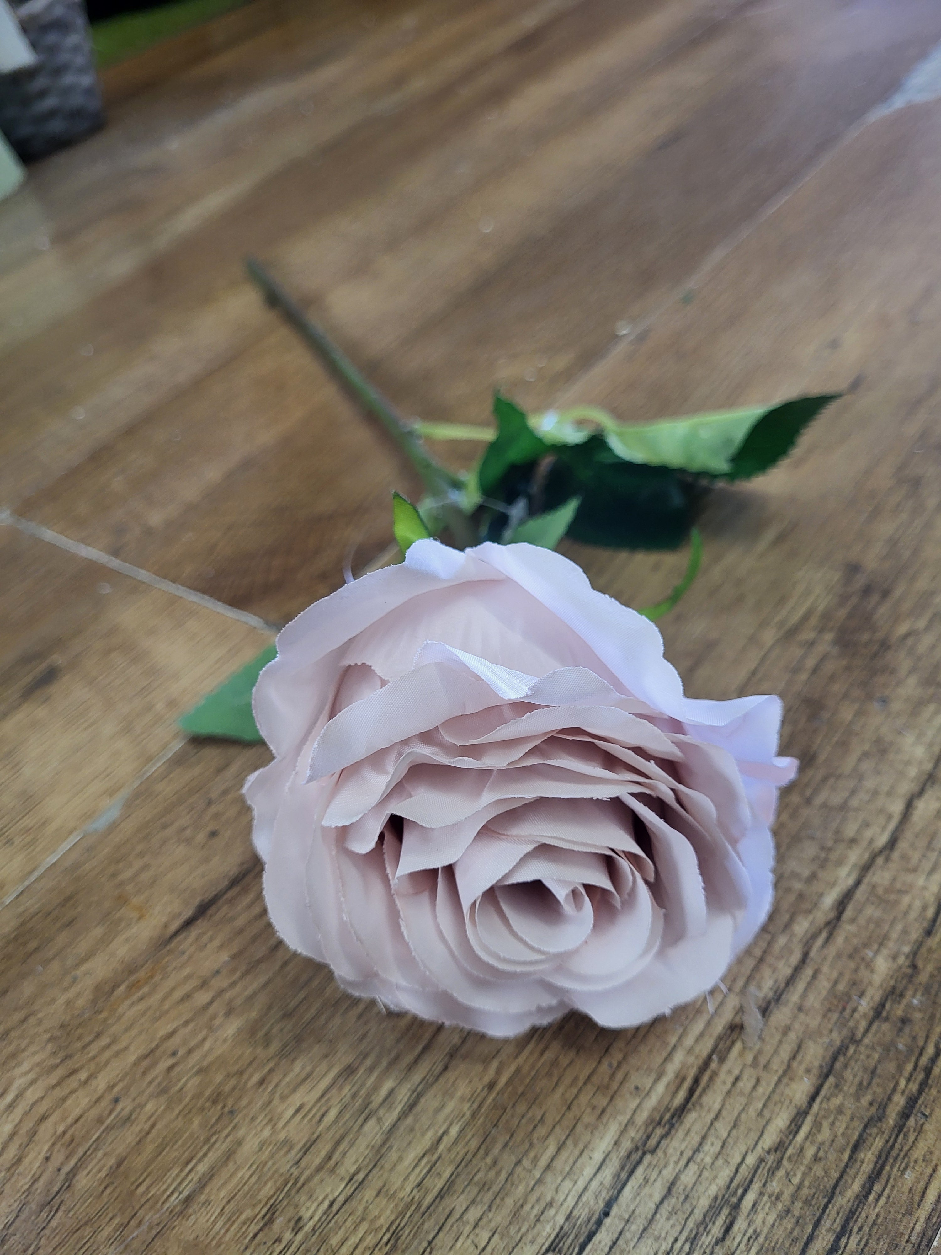 Nude Lila Rose  image 3