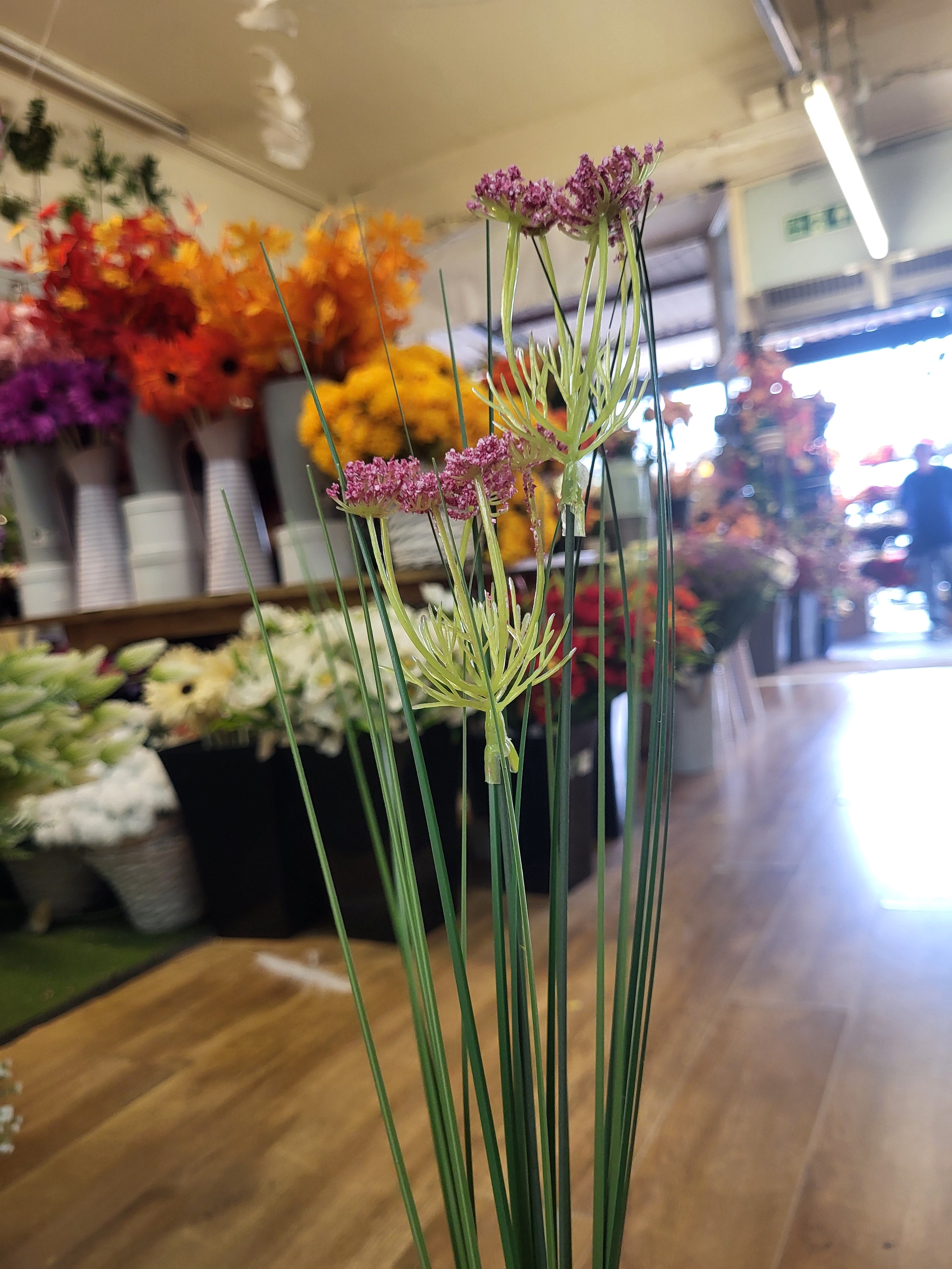 Long stem Allium grass - 3 colours available image 9